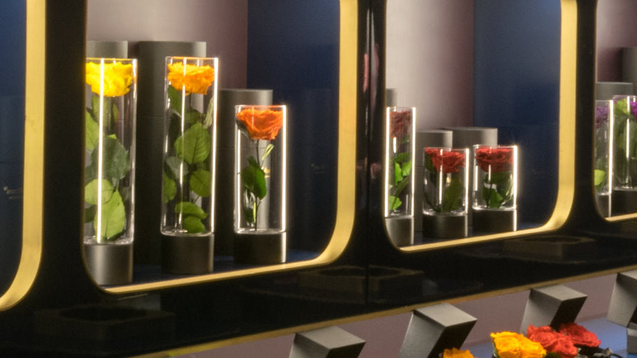 4 Reasons Why Infinite Roses Make The Perfect Gift