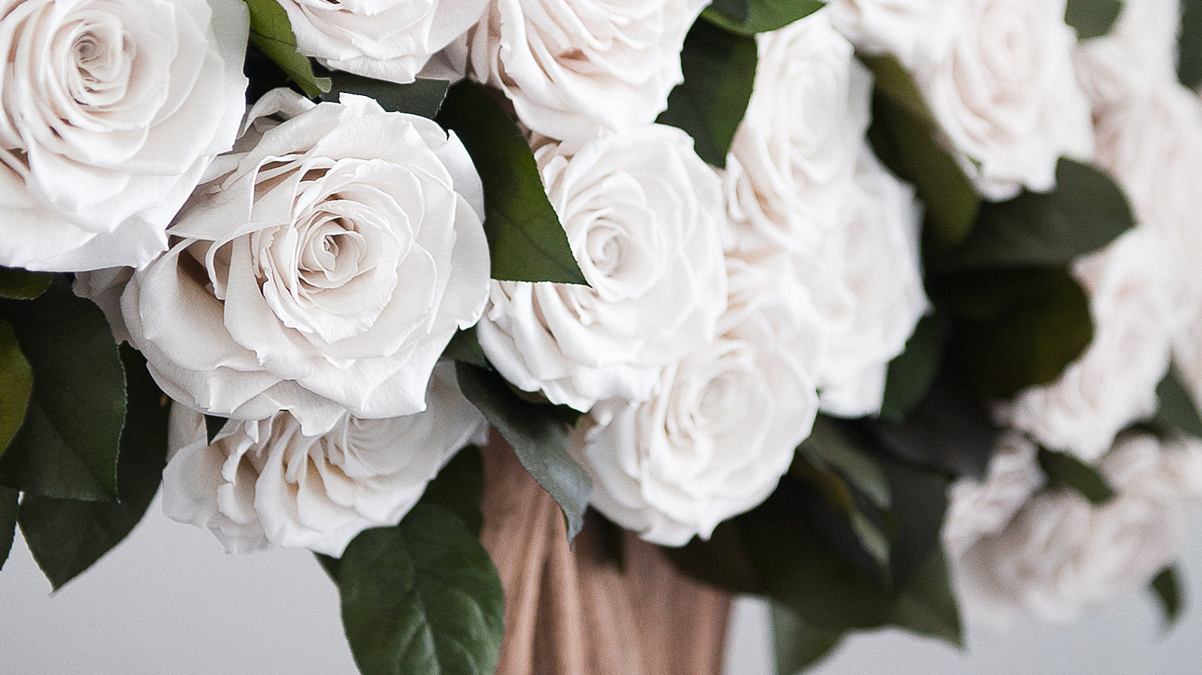 Infinite Roses - Create a Lasting Memory