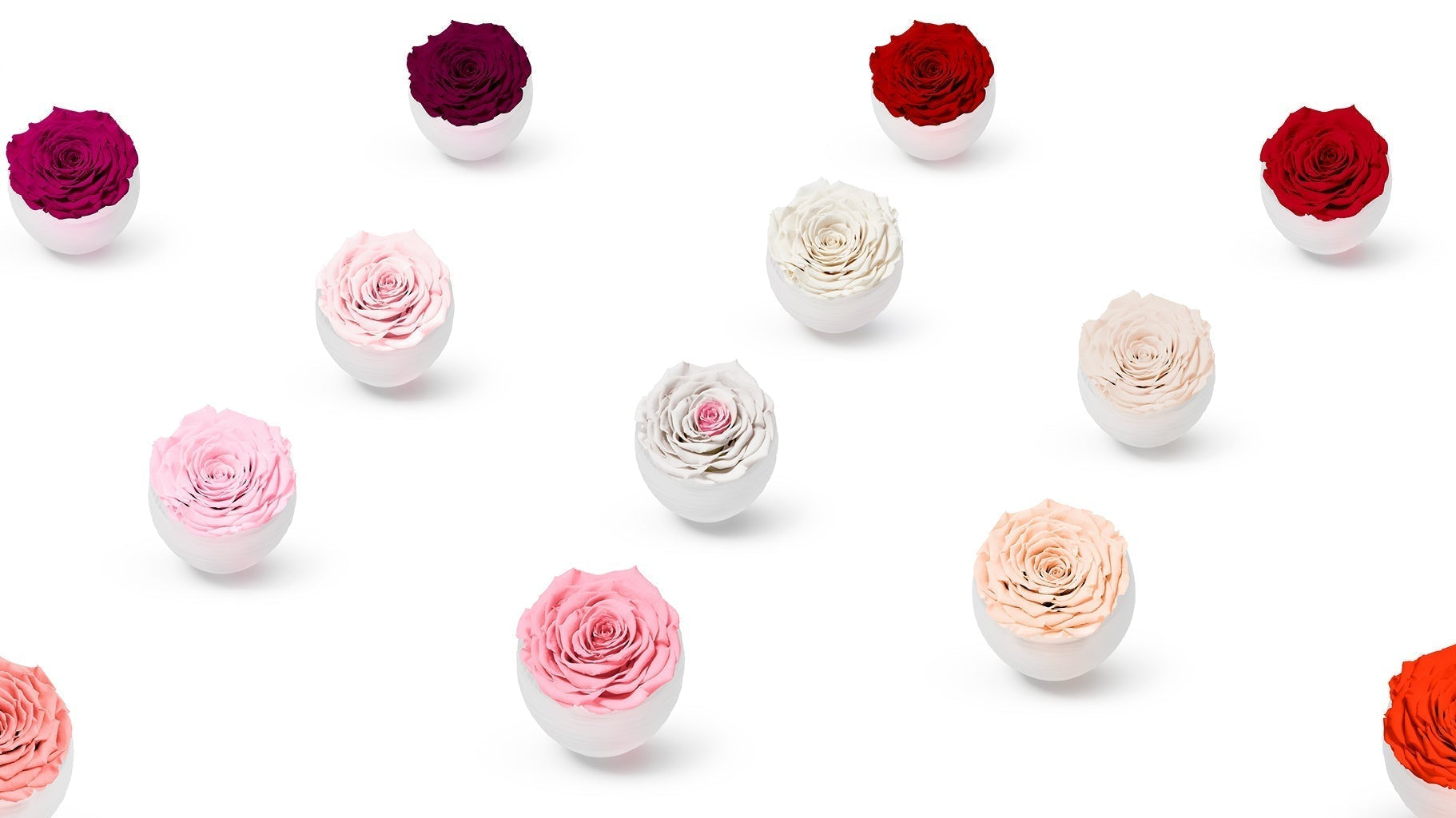 Colour Psychology and The Use of Colour