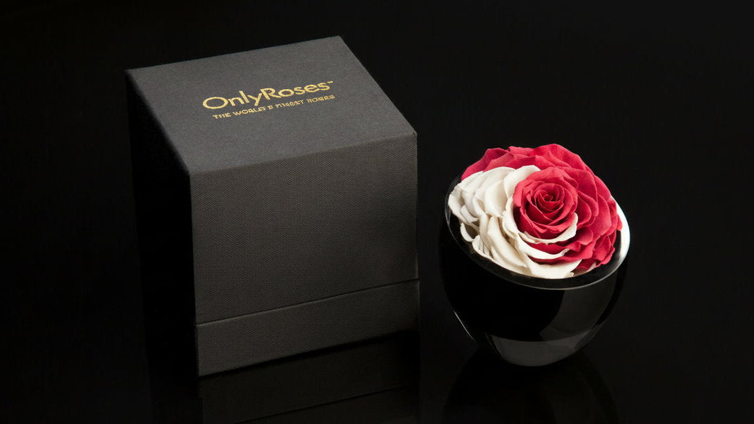 Qatar National Day The Infinite Rose