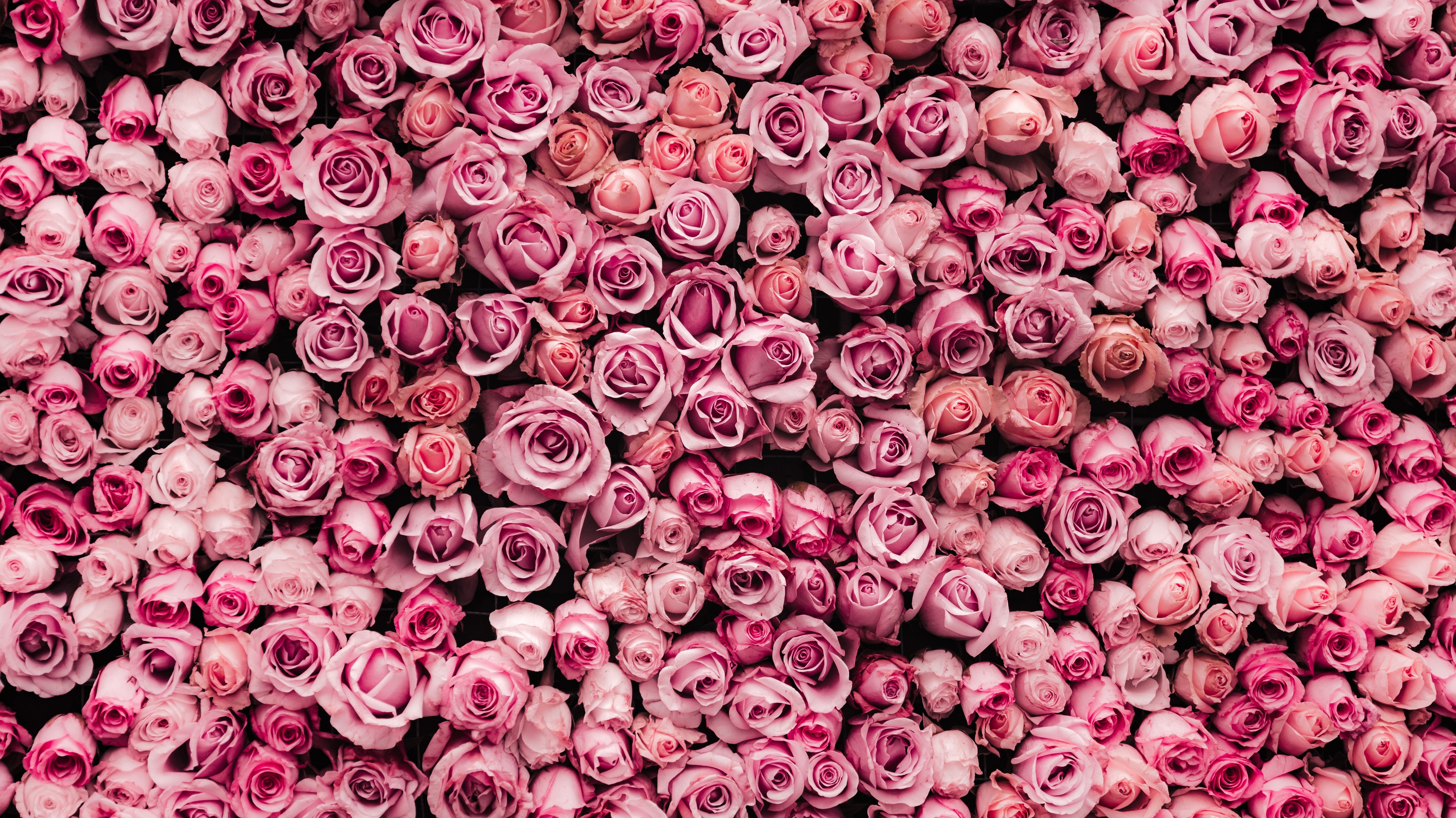 Celebrating International Women's Day