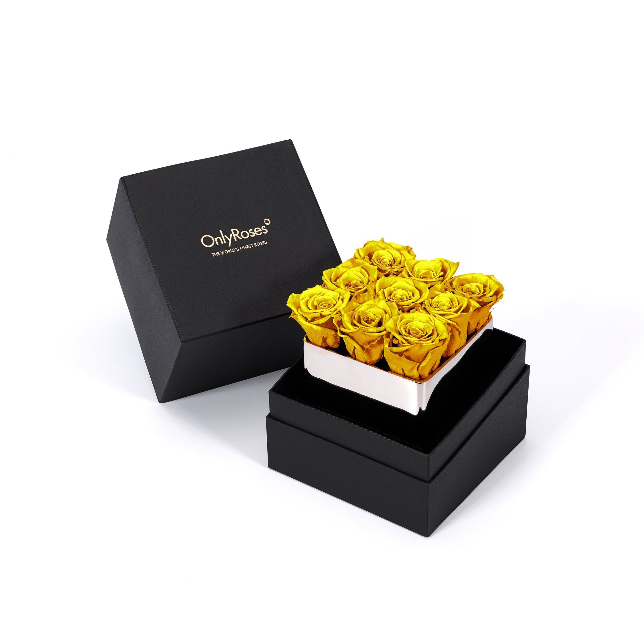 Infinite Rose Silver Cube