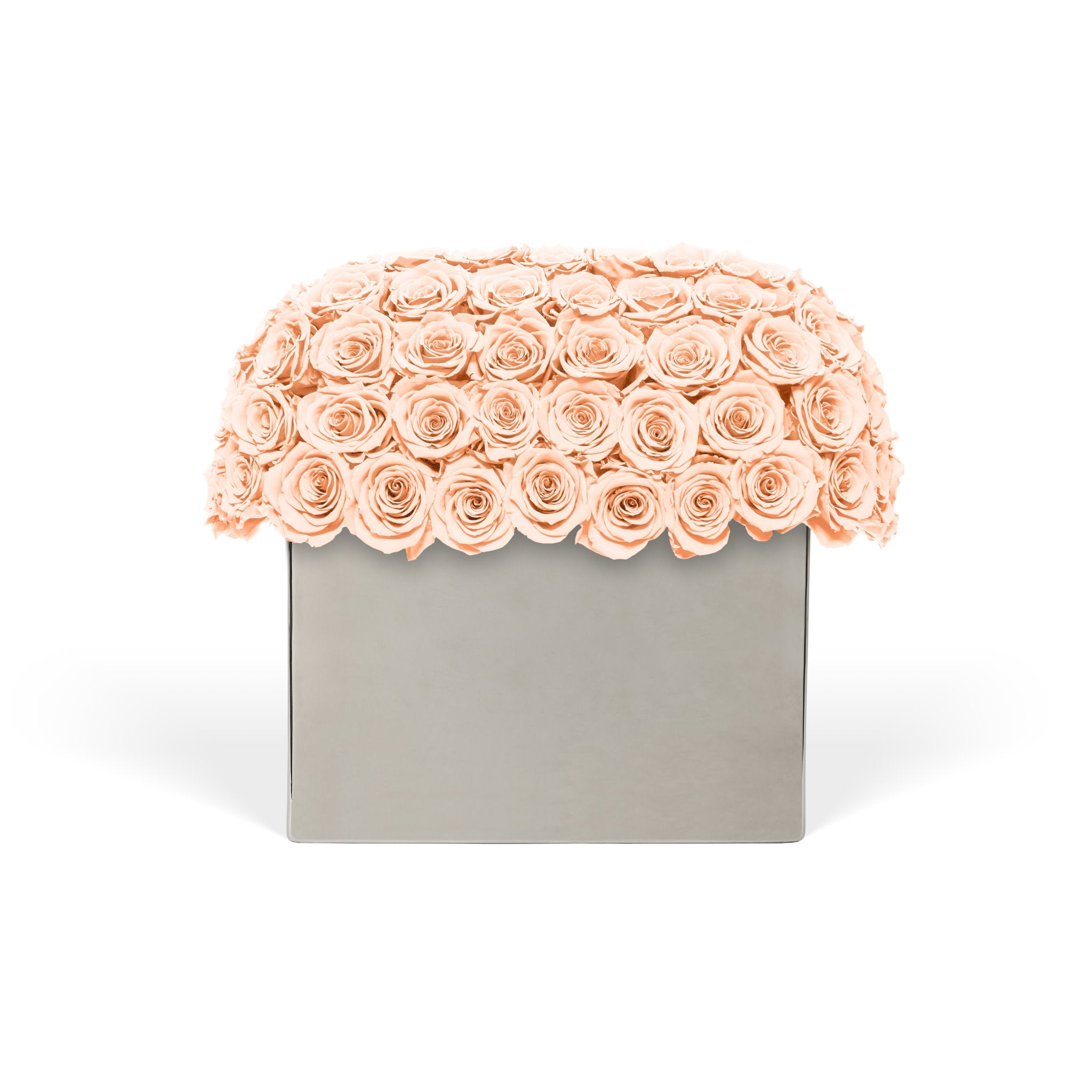 Infinite Rose Modernist