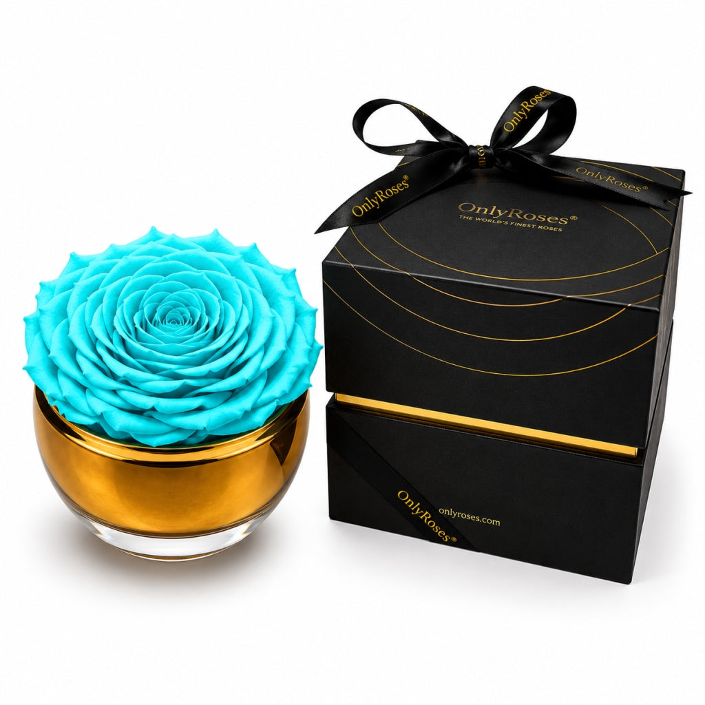 Infinite Rose Aurelia by OnlyRoses Qatar