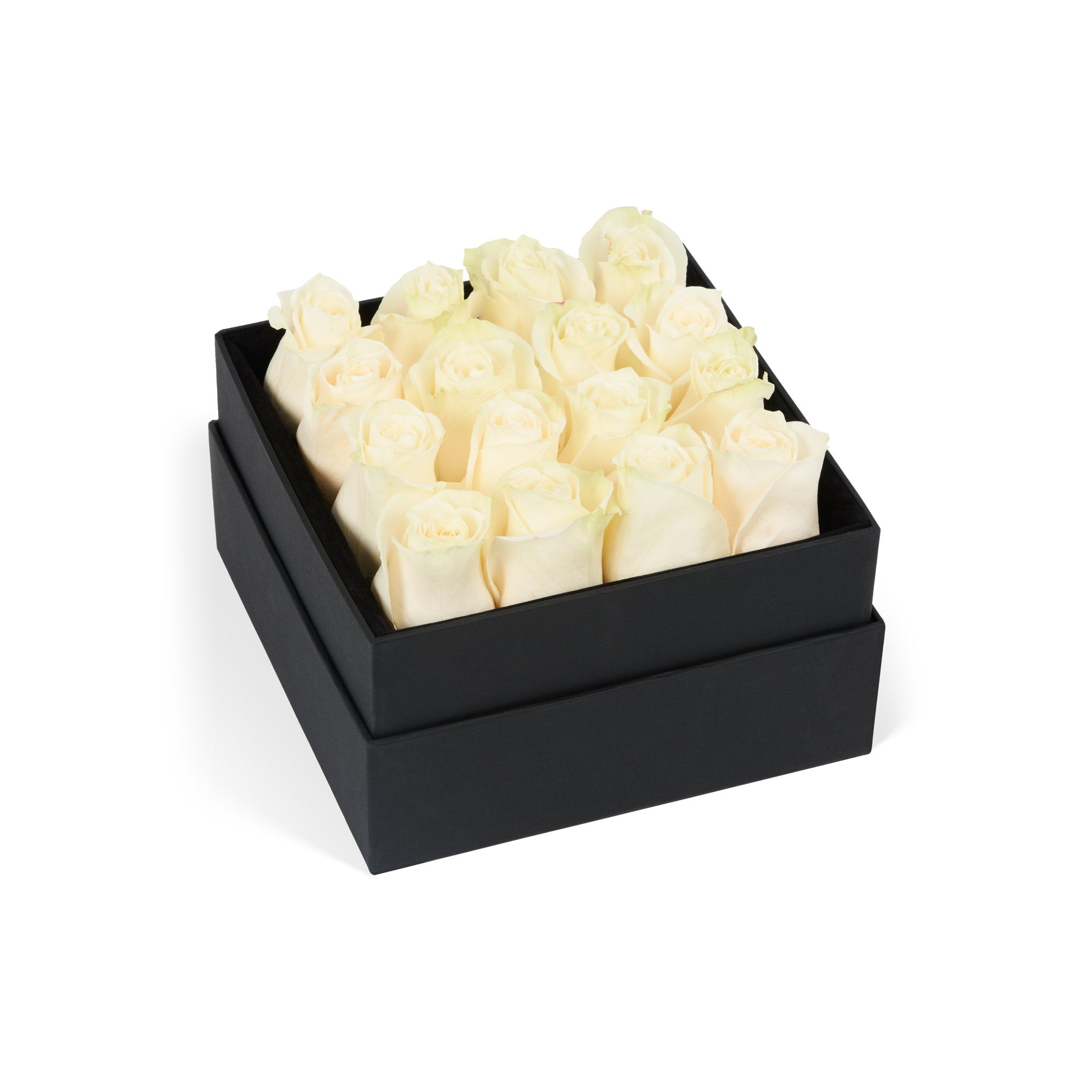Black box with white roses on a white background