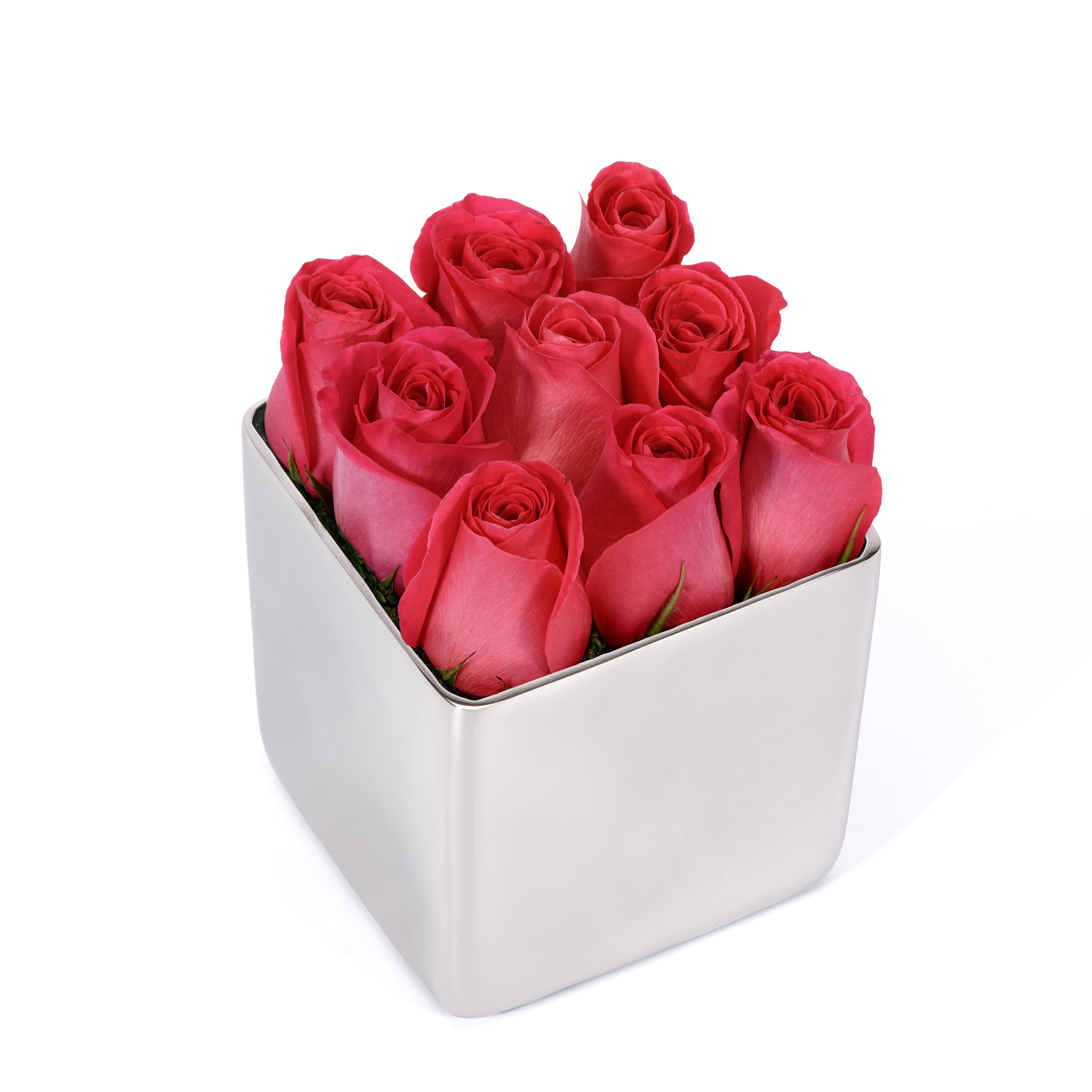 Silver cube container filled with red roses on a white background