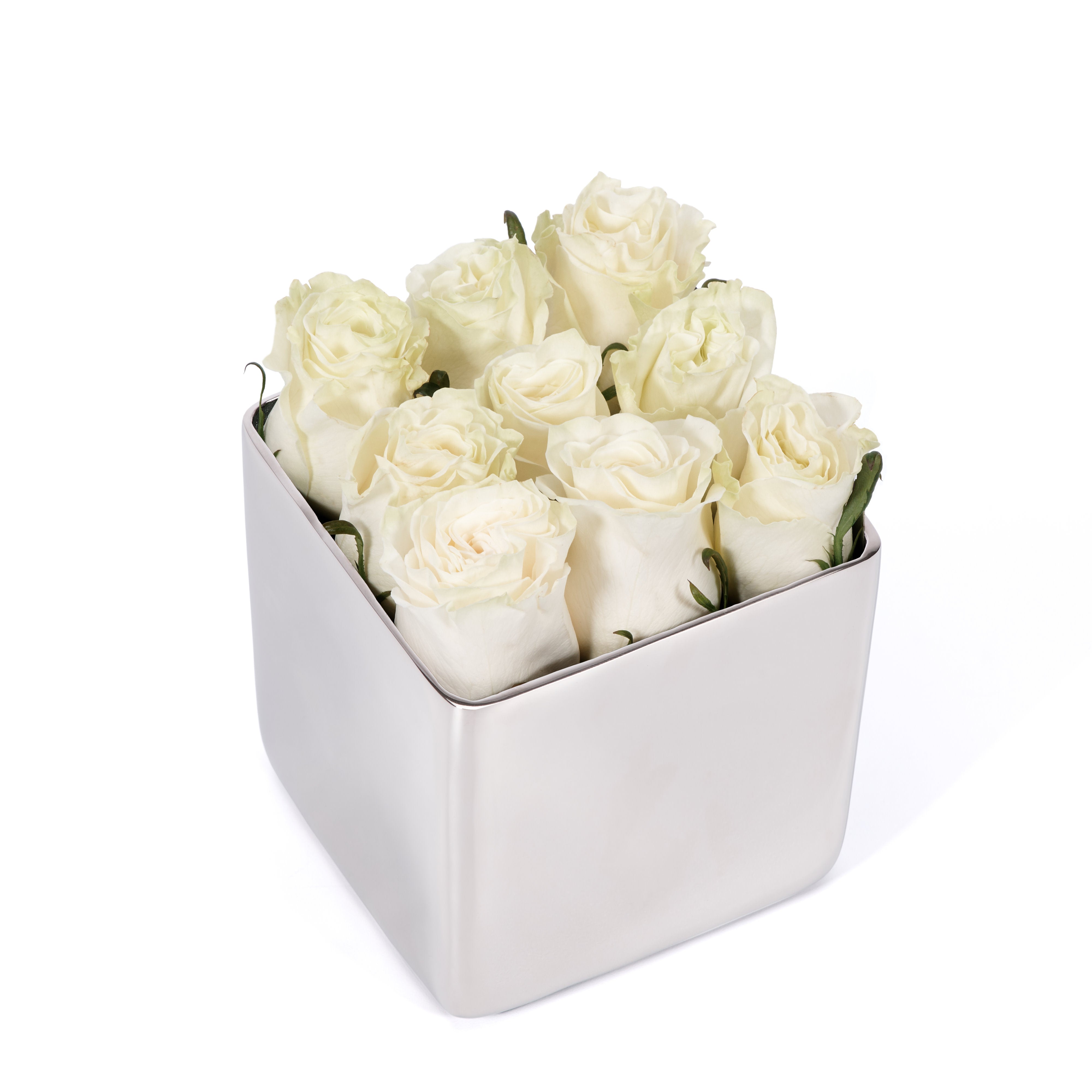 Silver square container with white roses on a white background