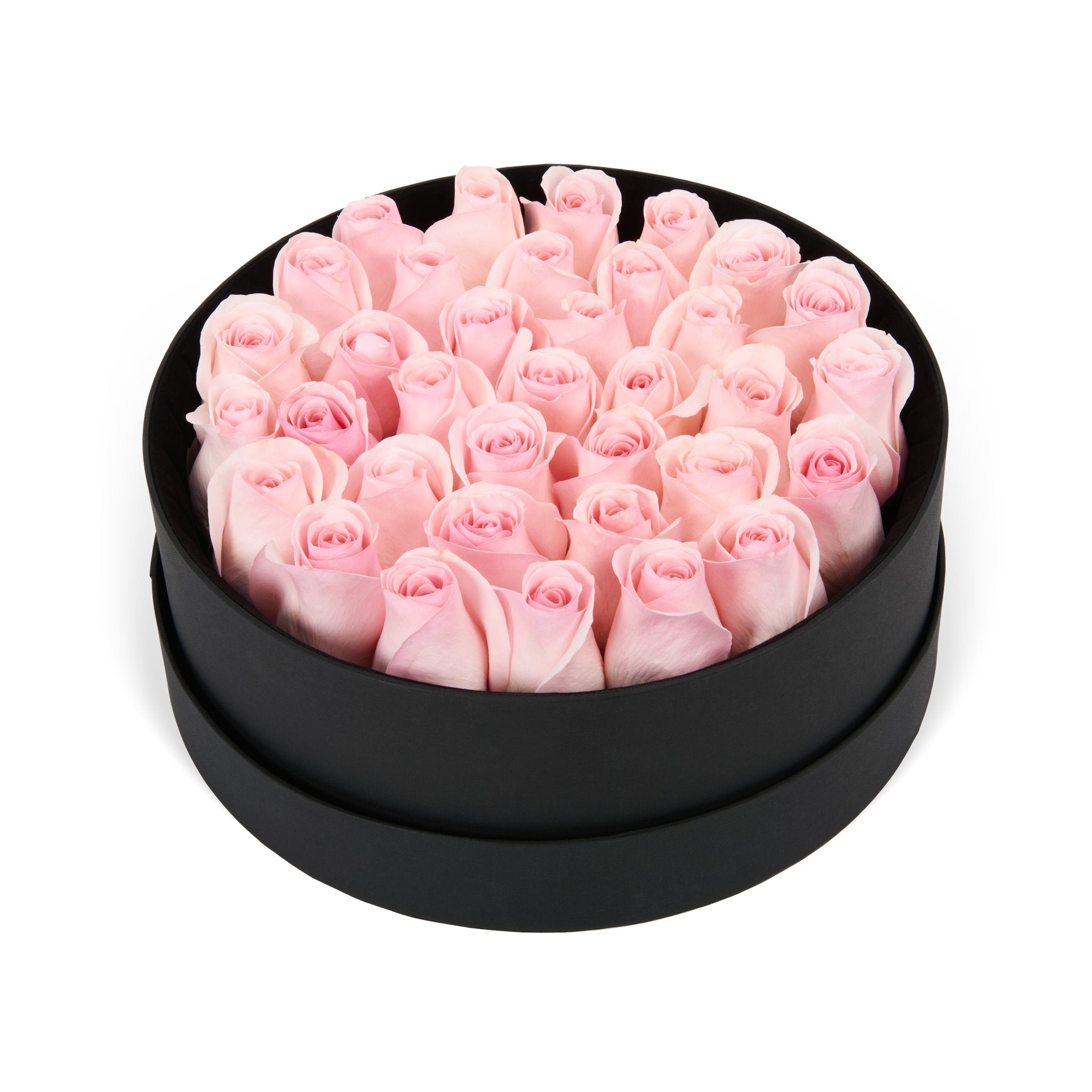 Black box filled with pink roses on a white background