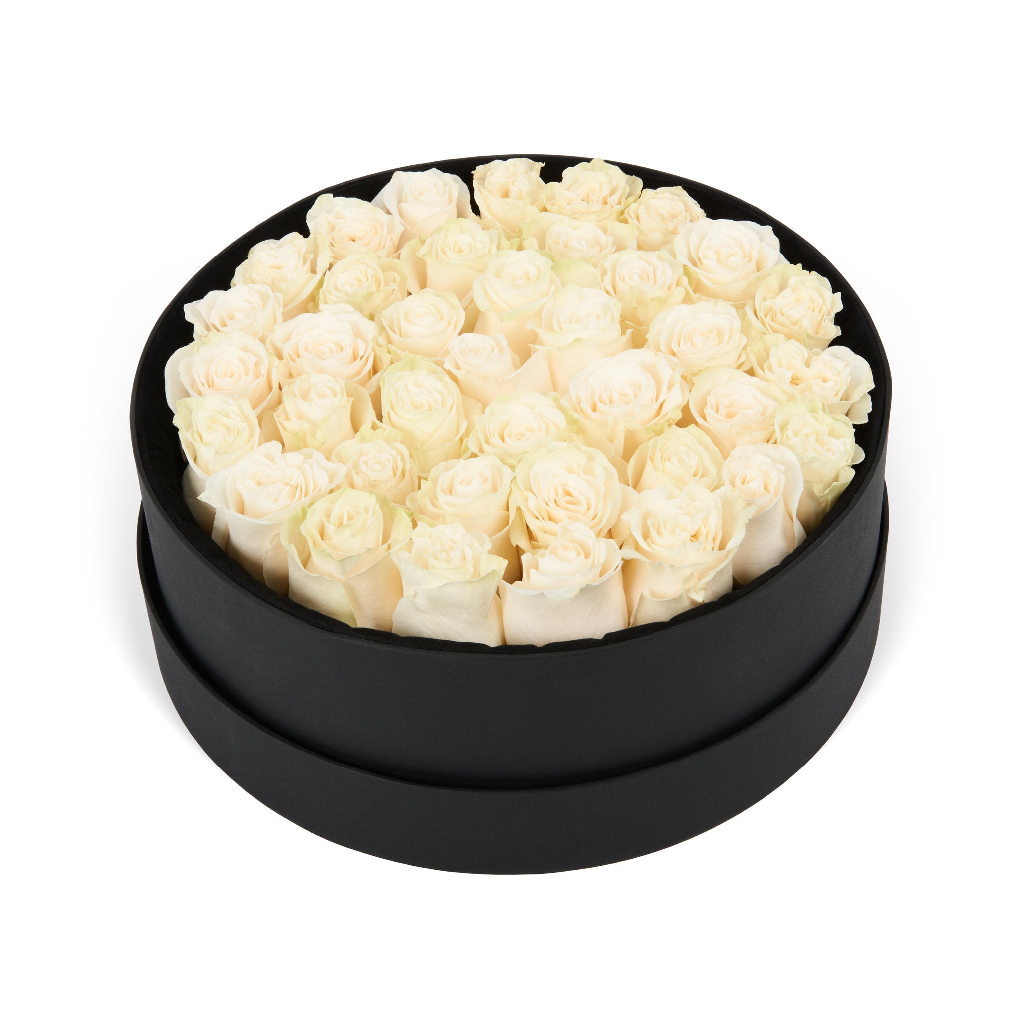 Black box filled with white roses on a white background