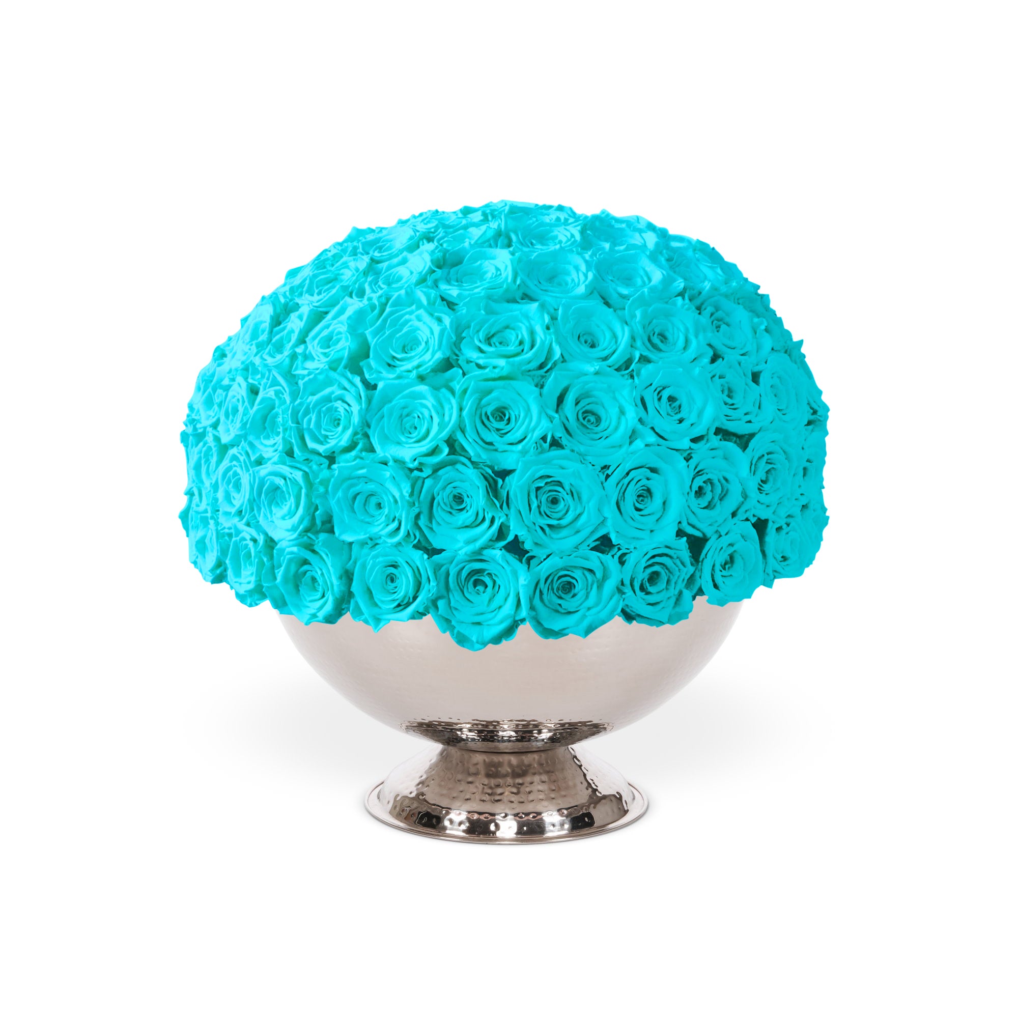 Bouquet of turquoise roses in a silver vase on a white background