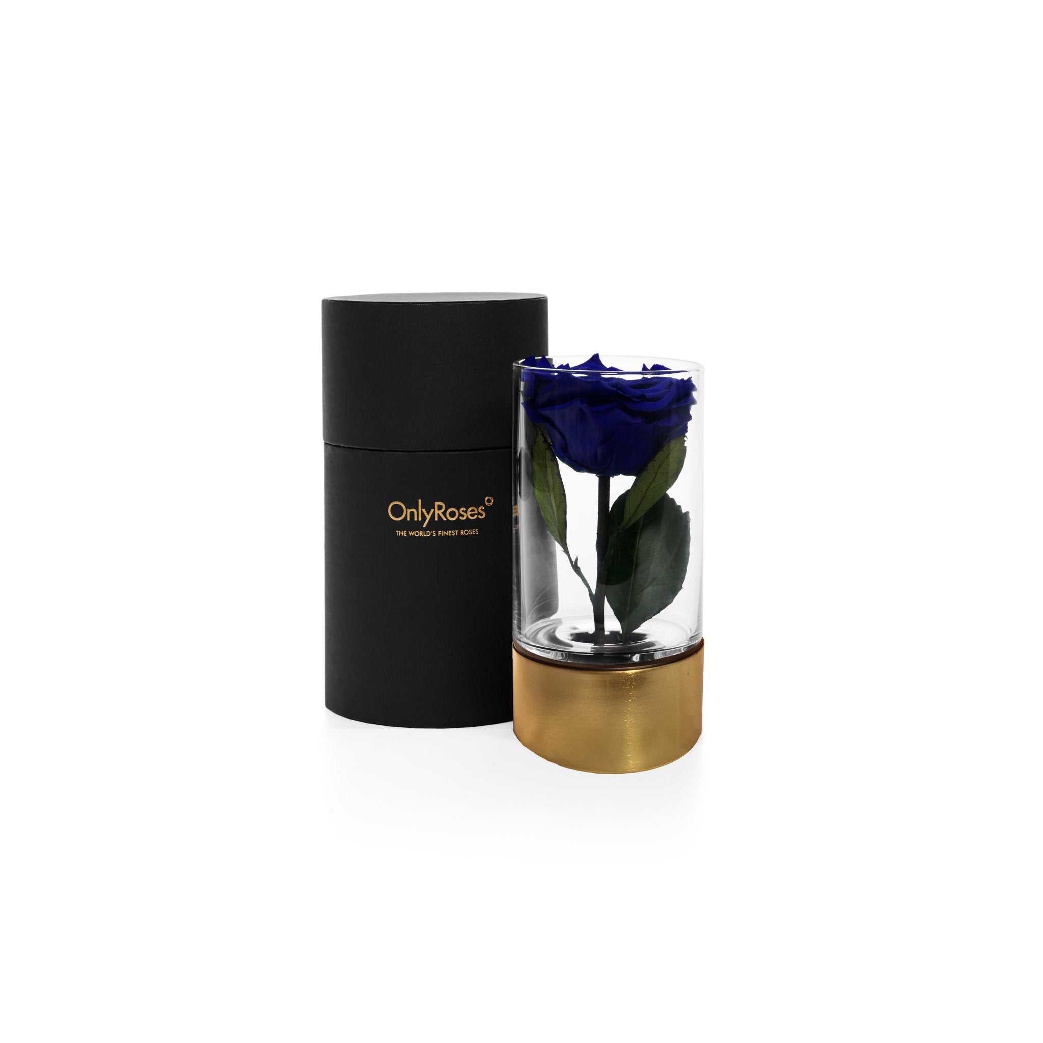 Blue rose in a clear vase with gold base next to a black cylindrical container on a white background