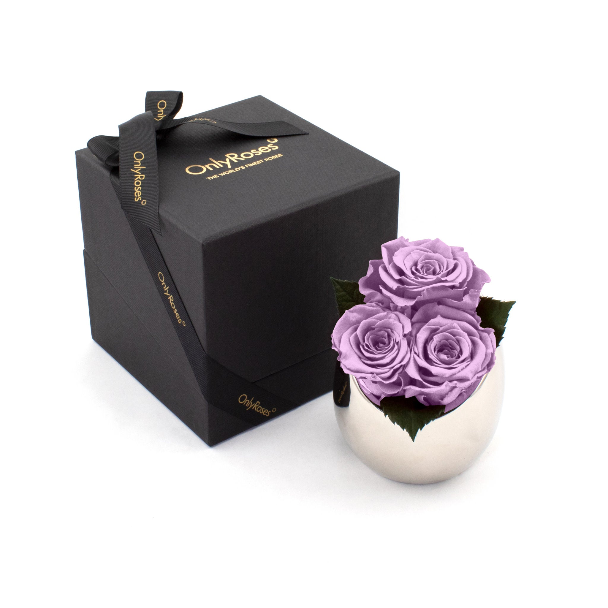 Purple roses in a white vase next to a black box with 'Only Roses' branding on a white background