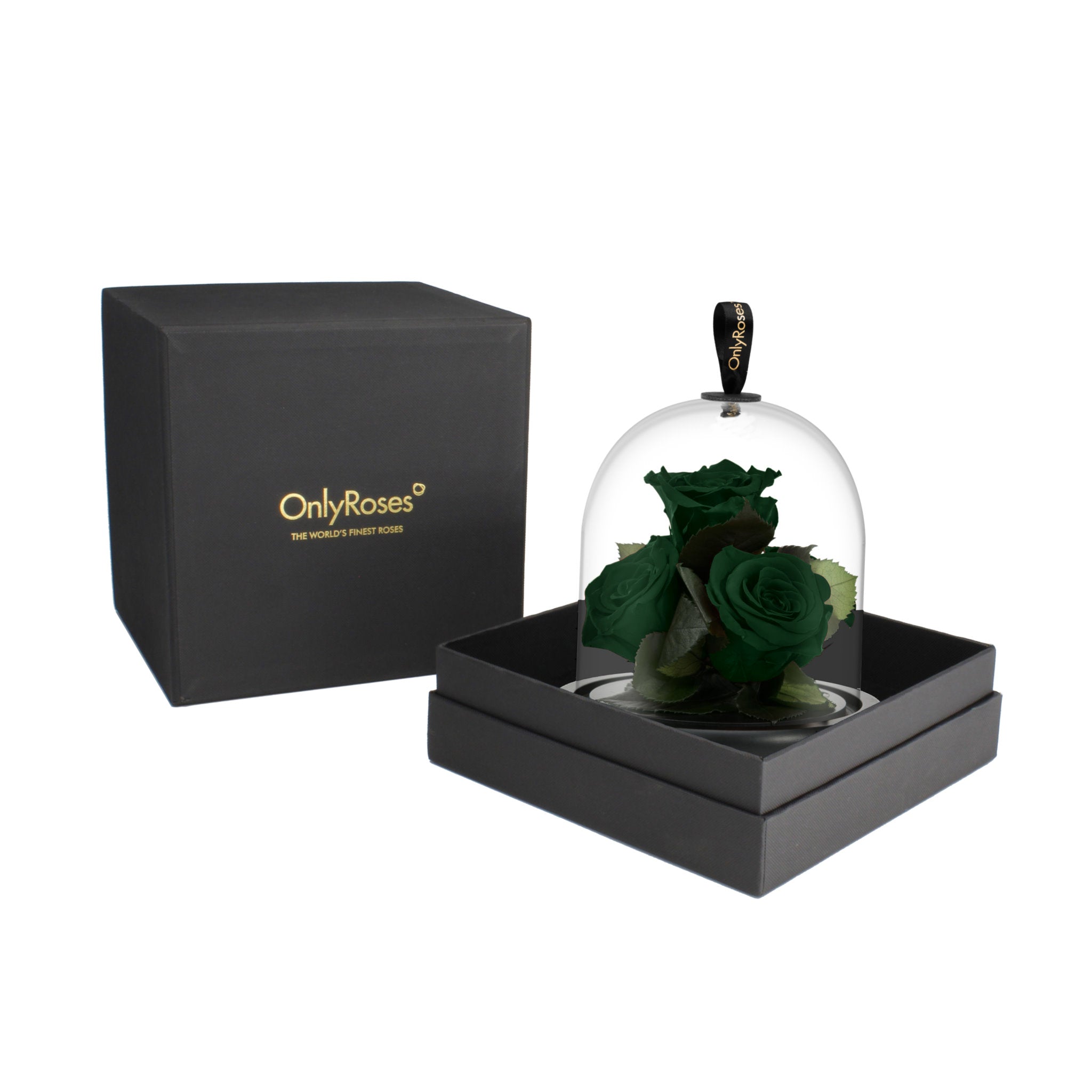 Black box with 'OnlyRoses' branding containing a glass dome with preserved green roses on a white background.