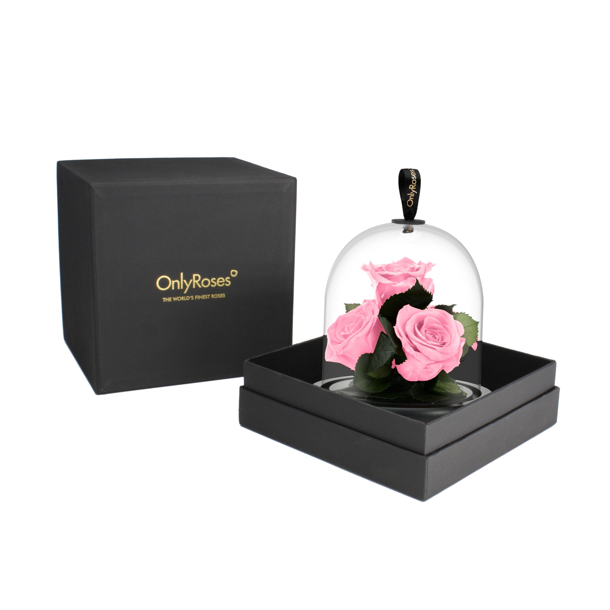 Pink roses under a glass dome in a black box with 'OnlyRoses' branding.