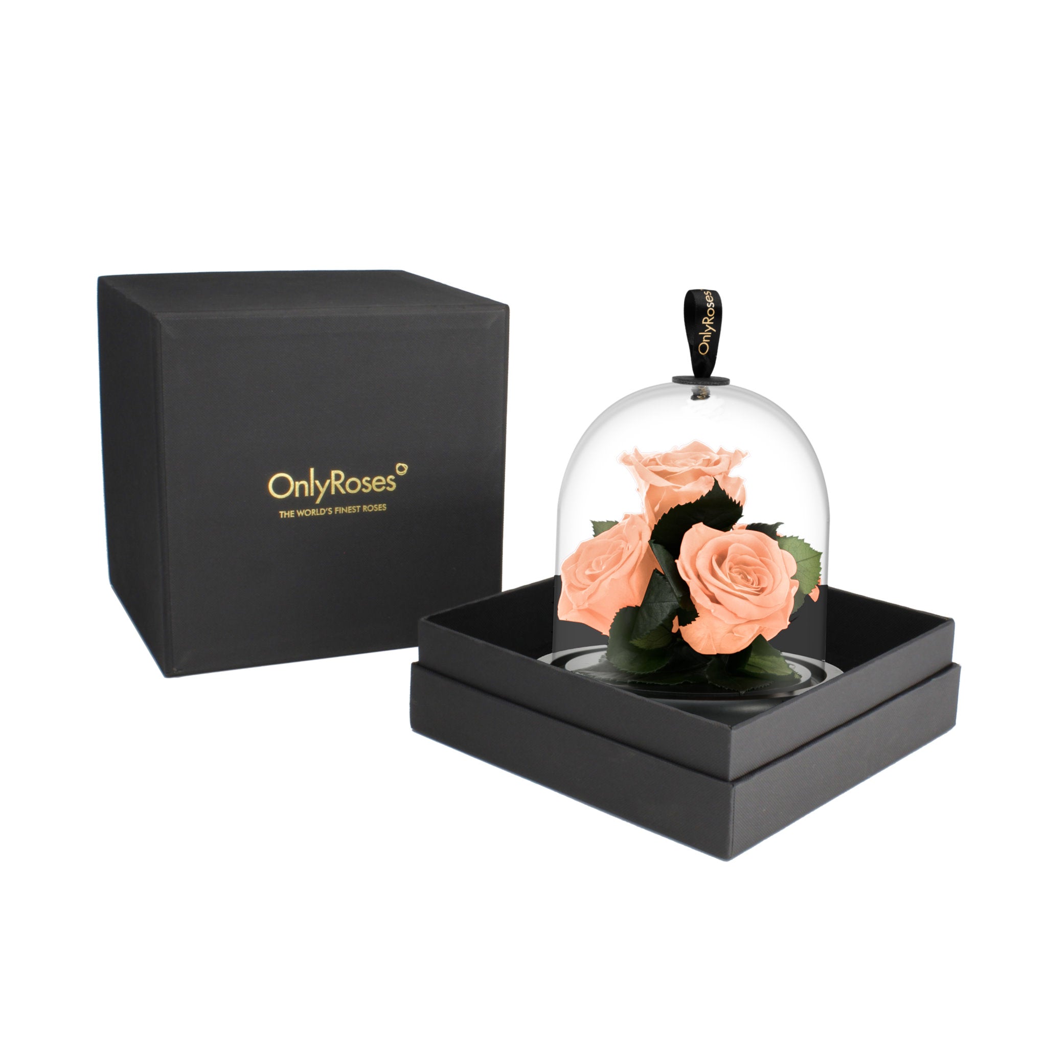 Bouquet of peach roses under a glass dome in a black box with 'OnlyRoses' branding.