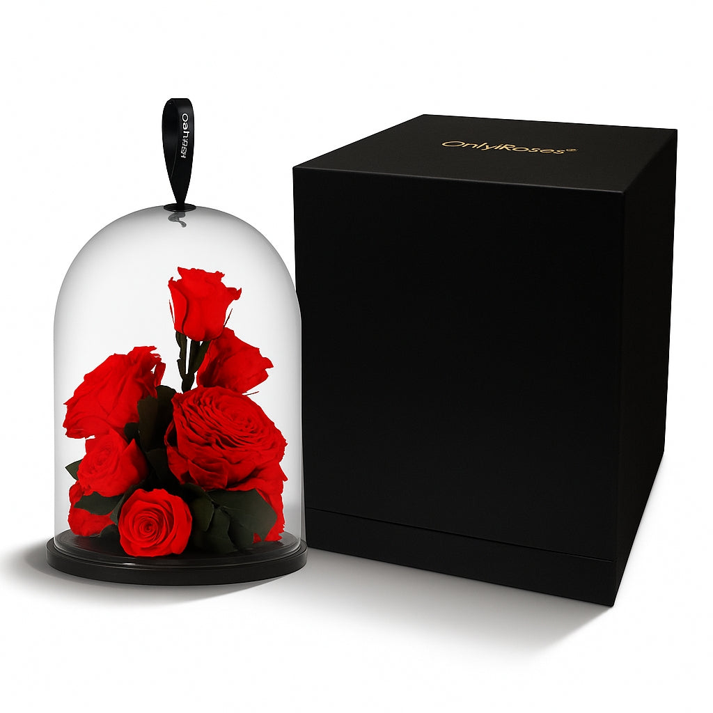 Red roses under a glass dome with a black box labeled 'Only Flowers' on a white background