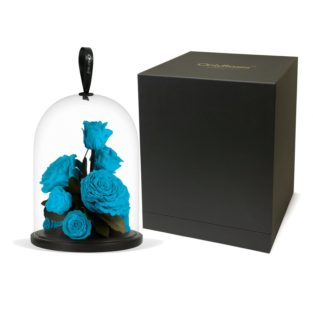 Blue roses under a glass dome with a black box on a white background