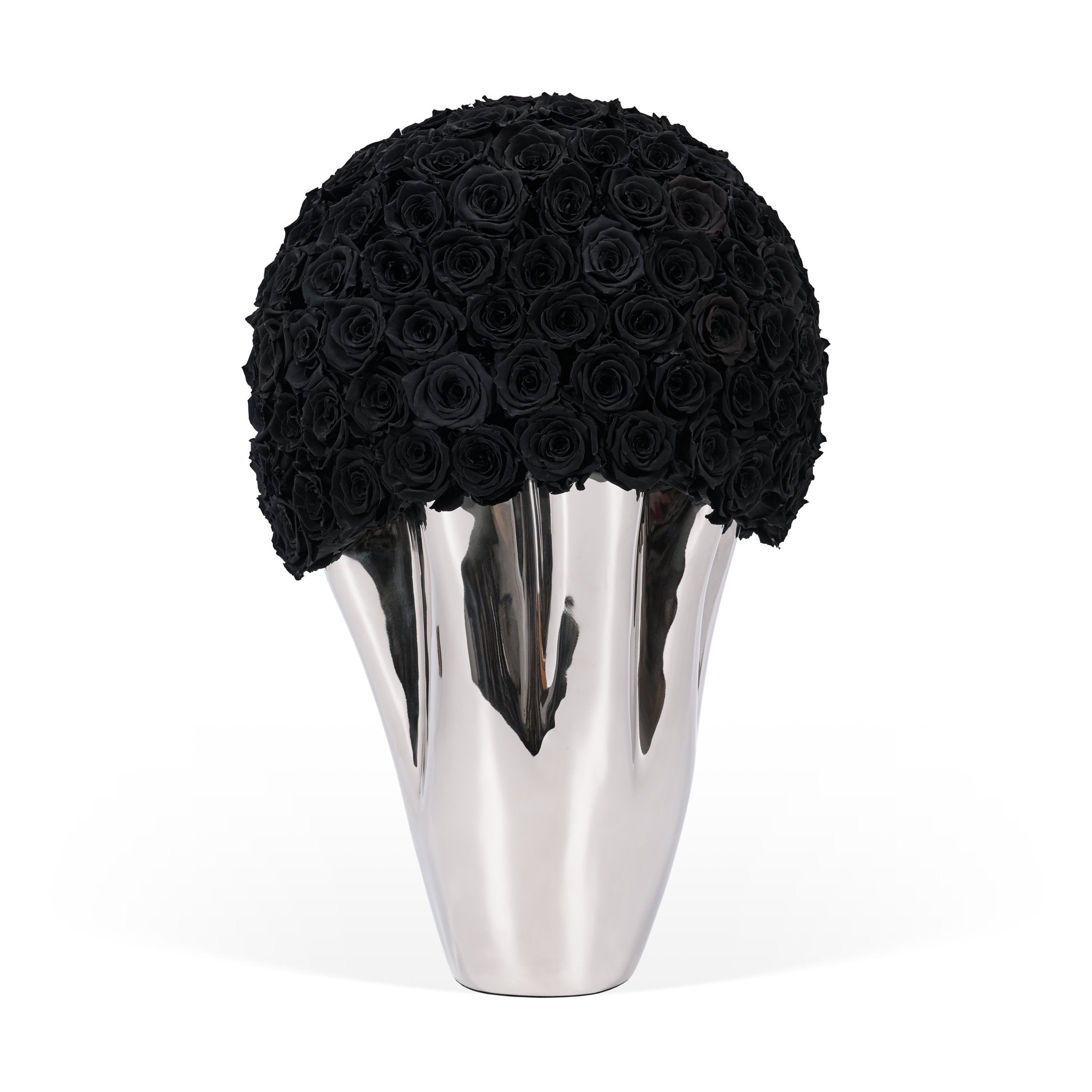 Silver vase with black roses on a white background