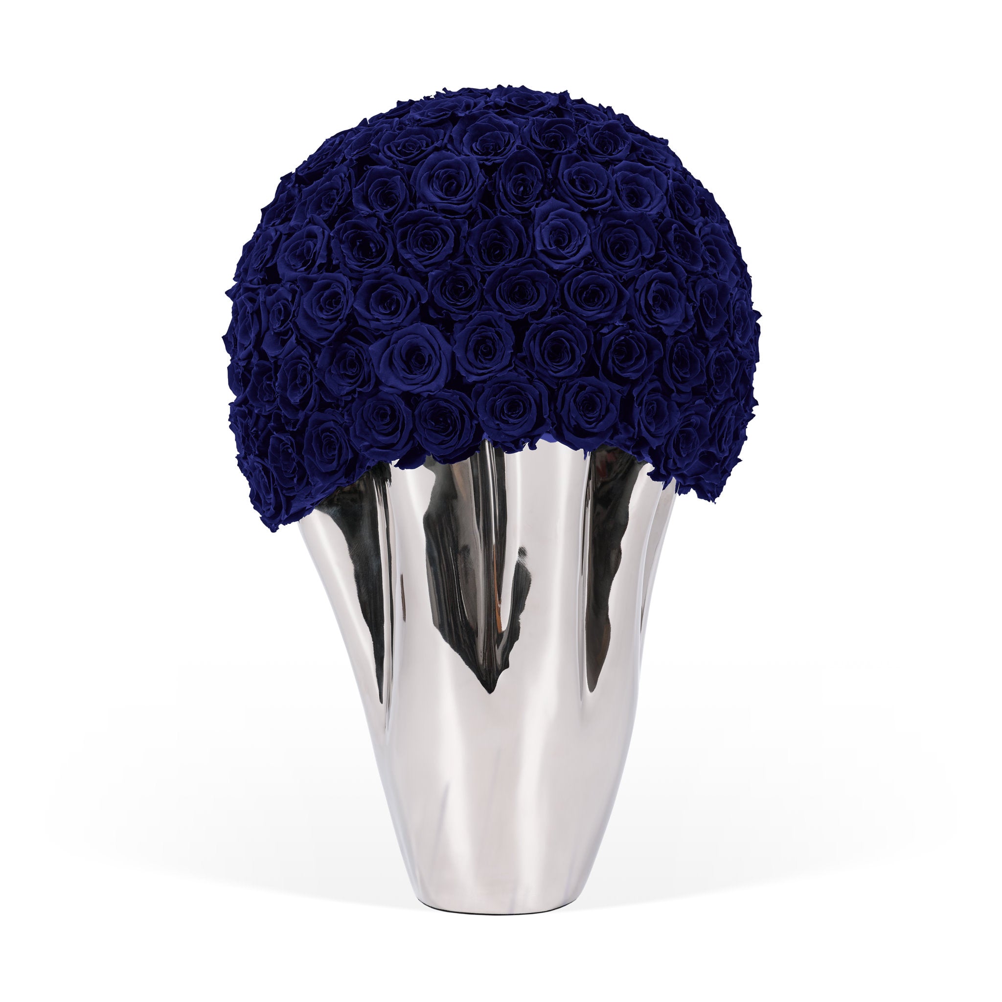Silver vase with a large ball of royal roses on a white background