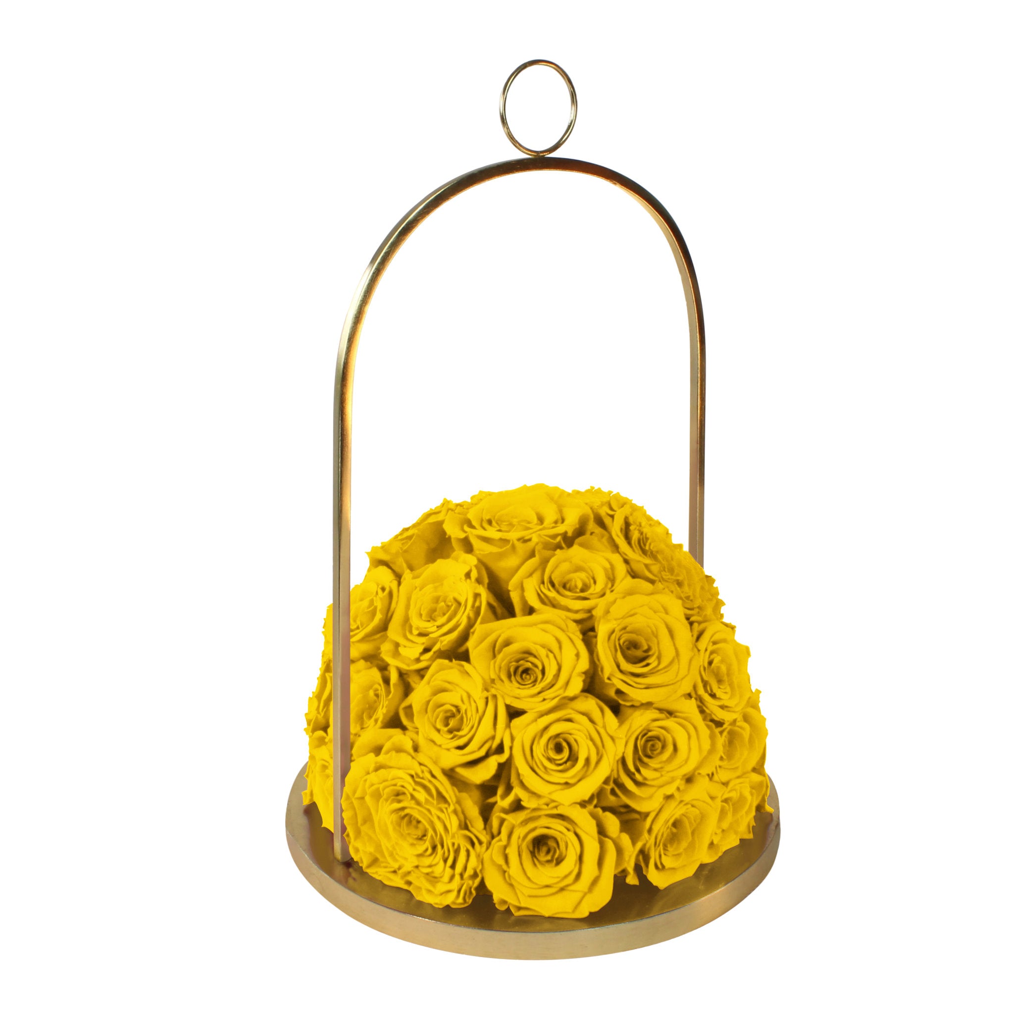 Gold hoop with yellow roses on a white background