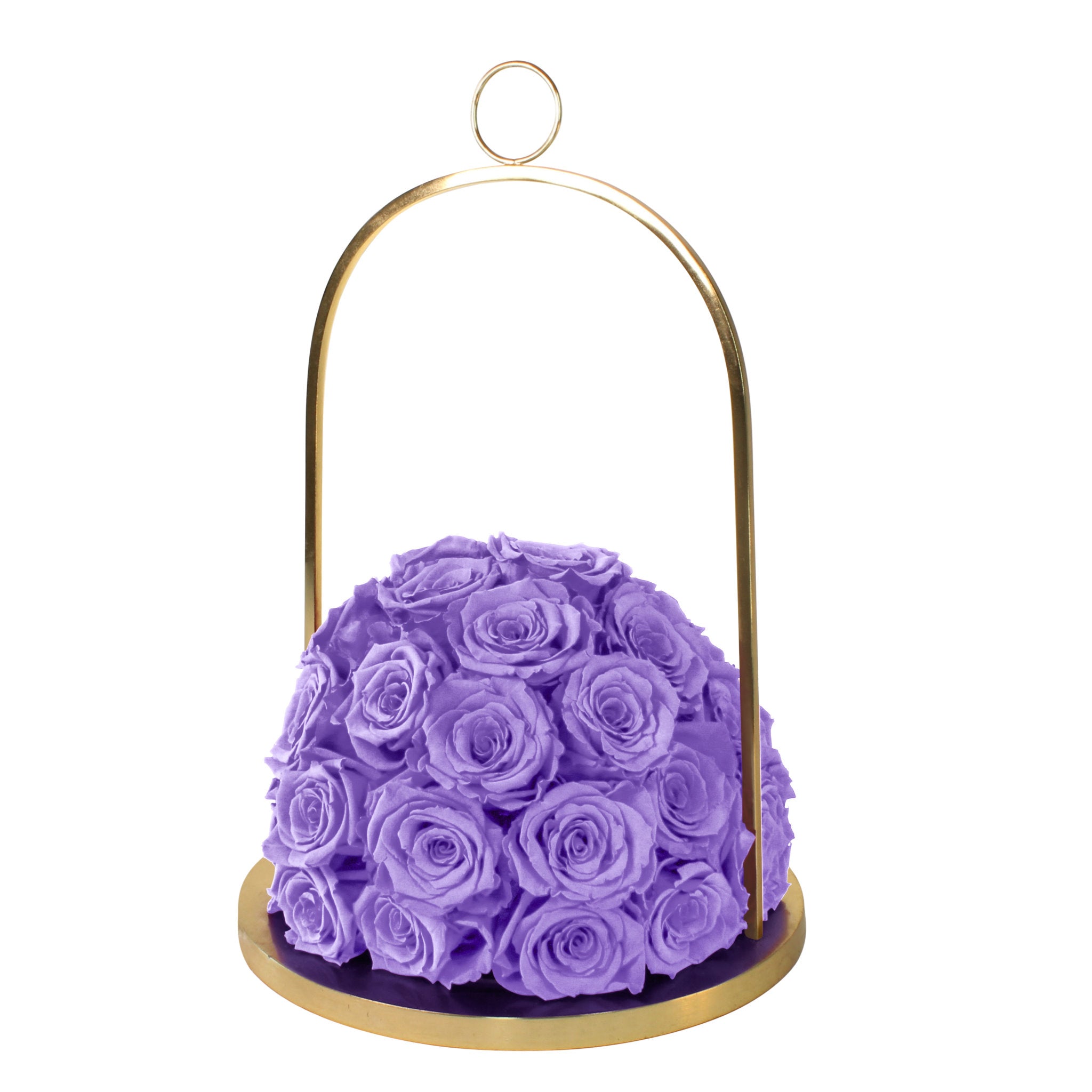 Purple roses in a gold holder on a white background