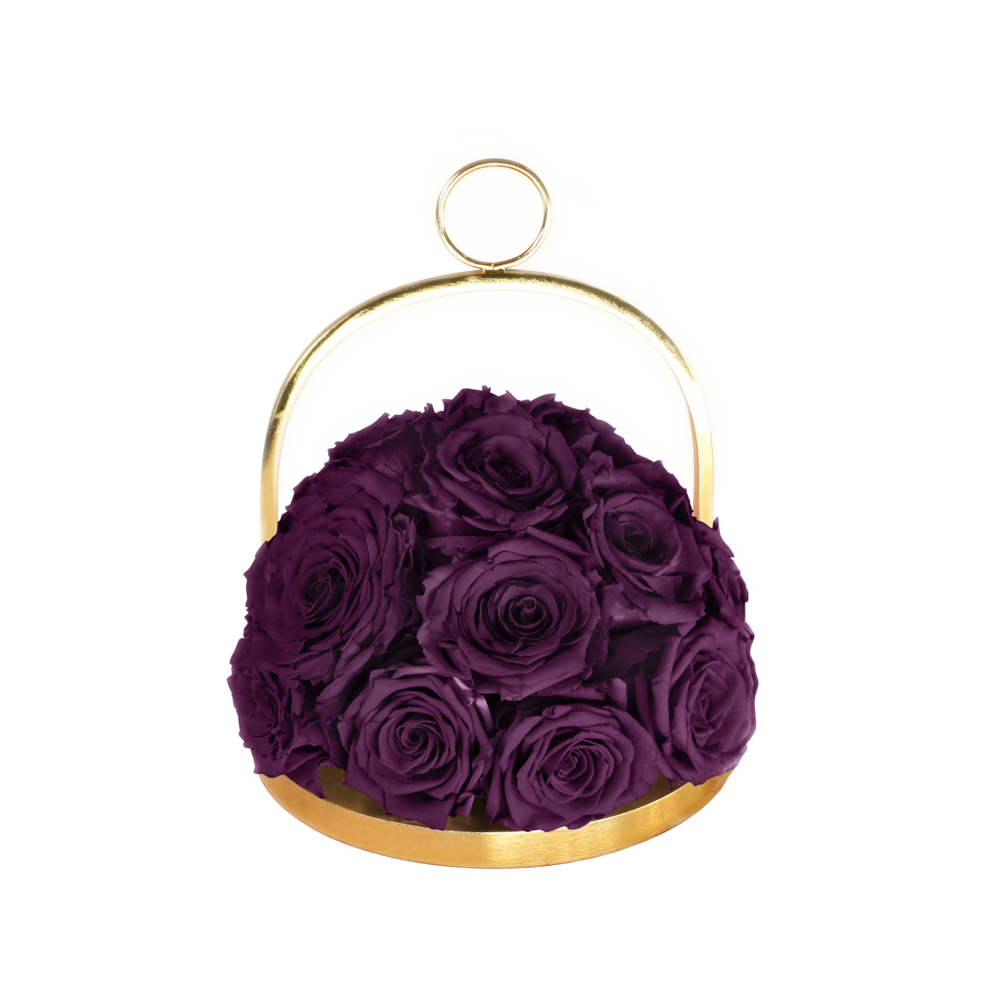 Purple roses in a gold holder on a white background