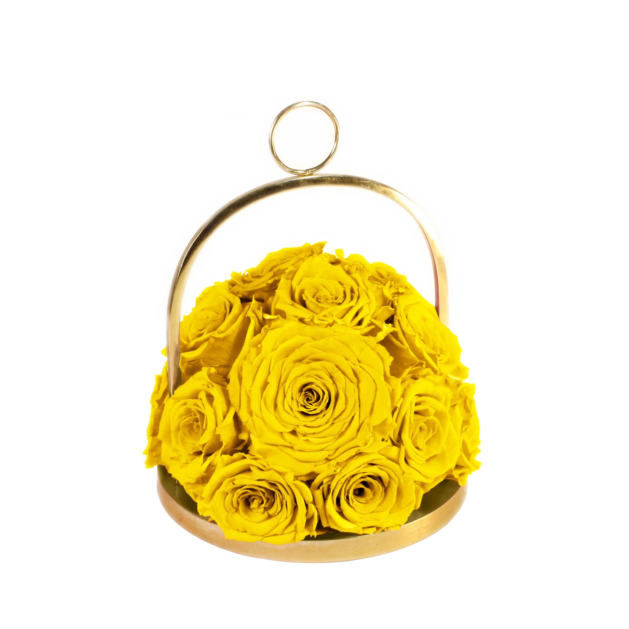 Yellow roses in a gold metal holder on a white background