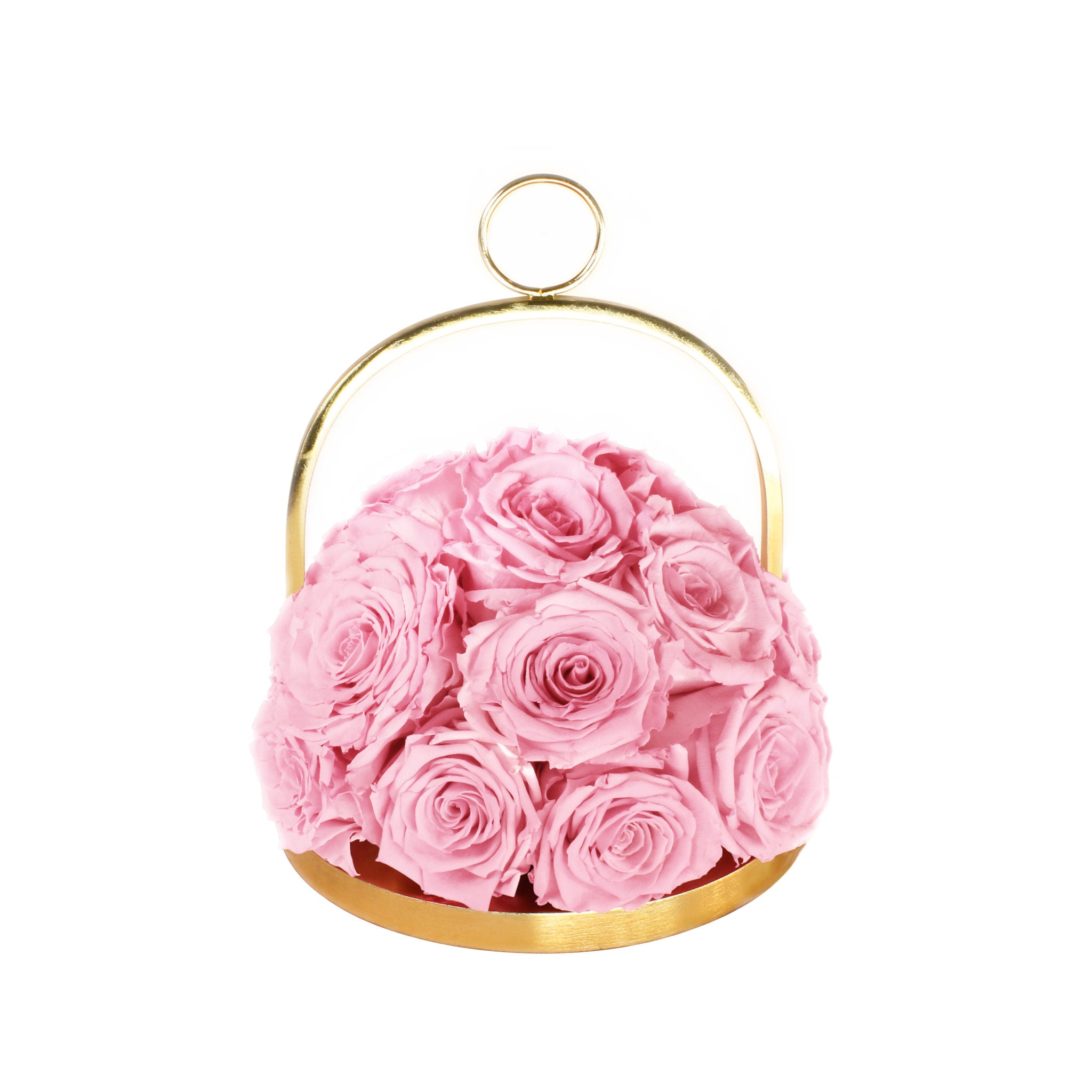 Pink roses in a gold holder on a white background