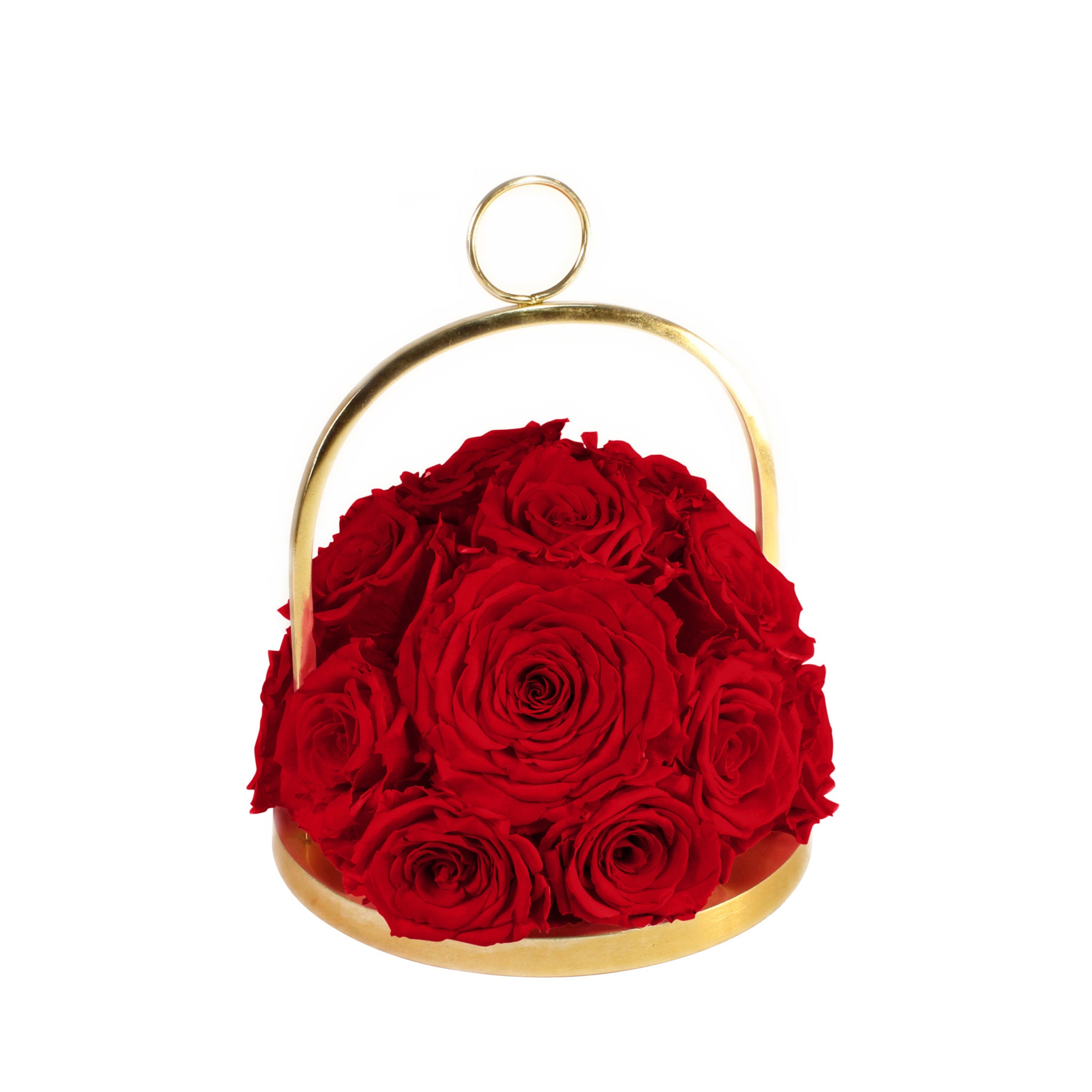 Gold hoop with red roses on a white background