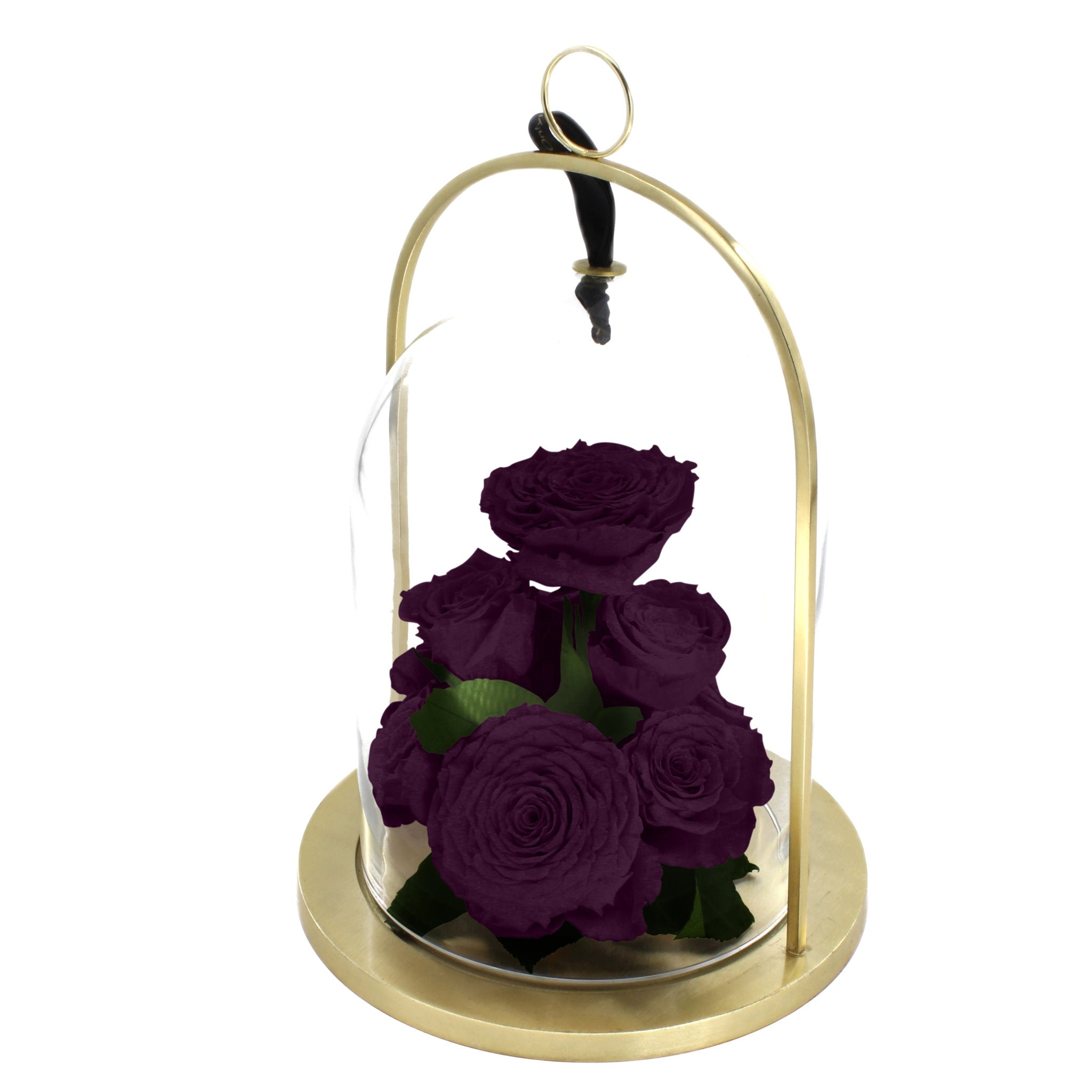 Purple roses in a glass dome with gold base on a white background