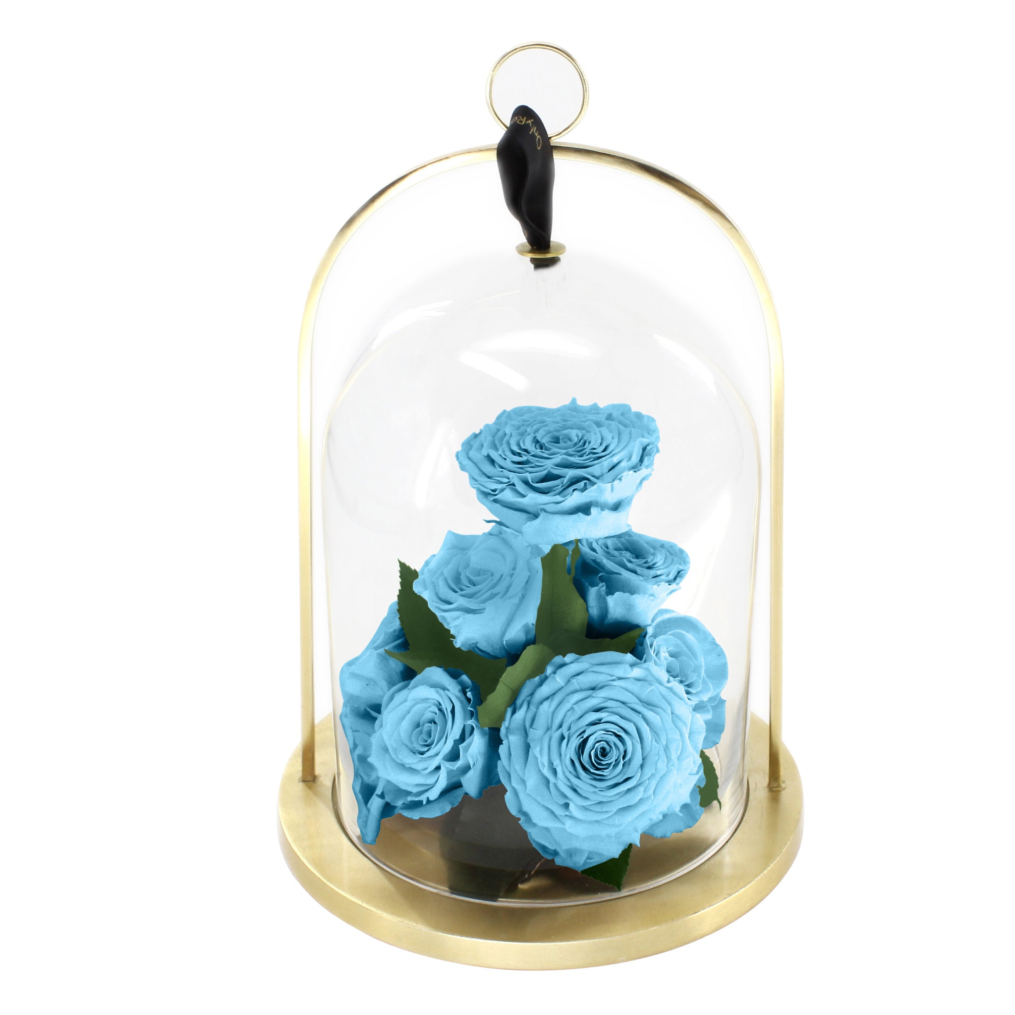 Glass dome with blue roses on a white background