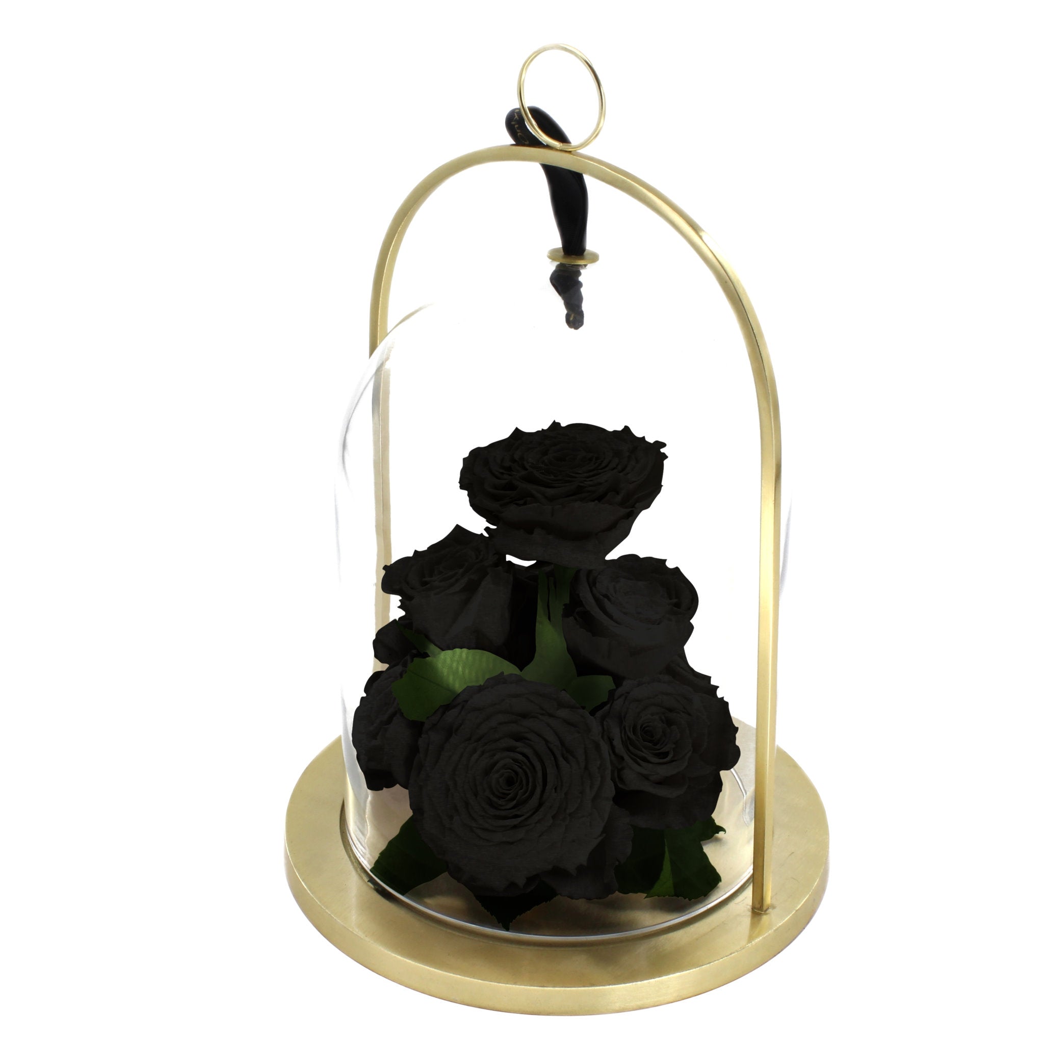 Glass dome with black roses on a gold stand against a white background