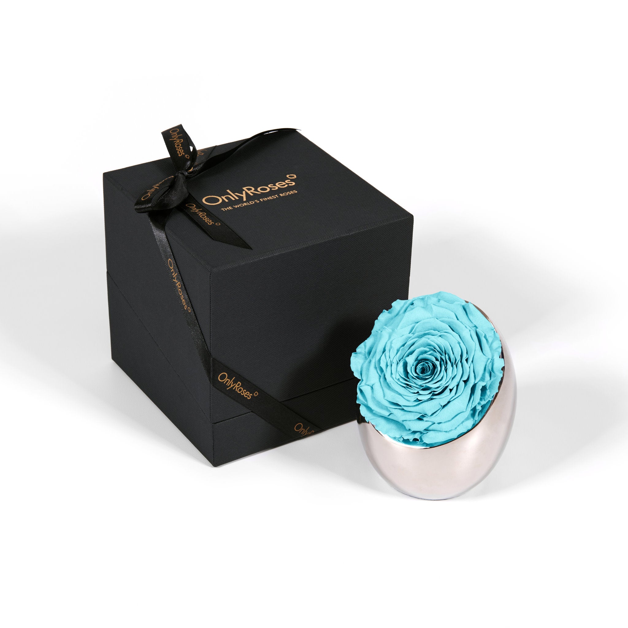 Turquoise rose in a silver holder next to an 'Only Roses' black box on a white background