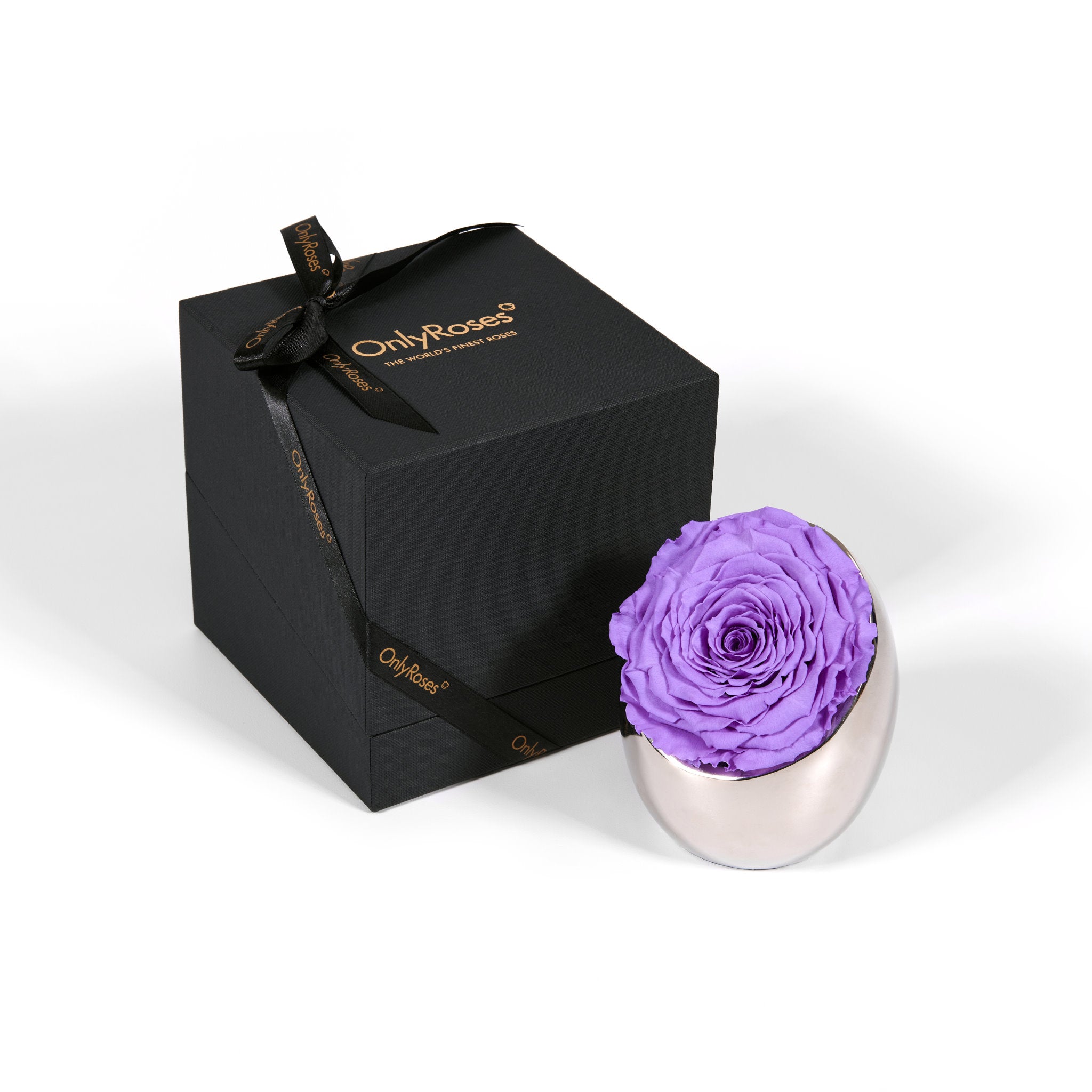 Purple rose in a silver holder next to an 'Only Roses' black box on a white background