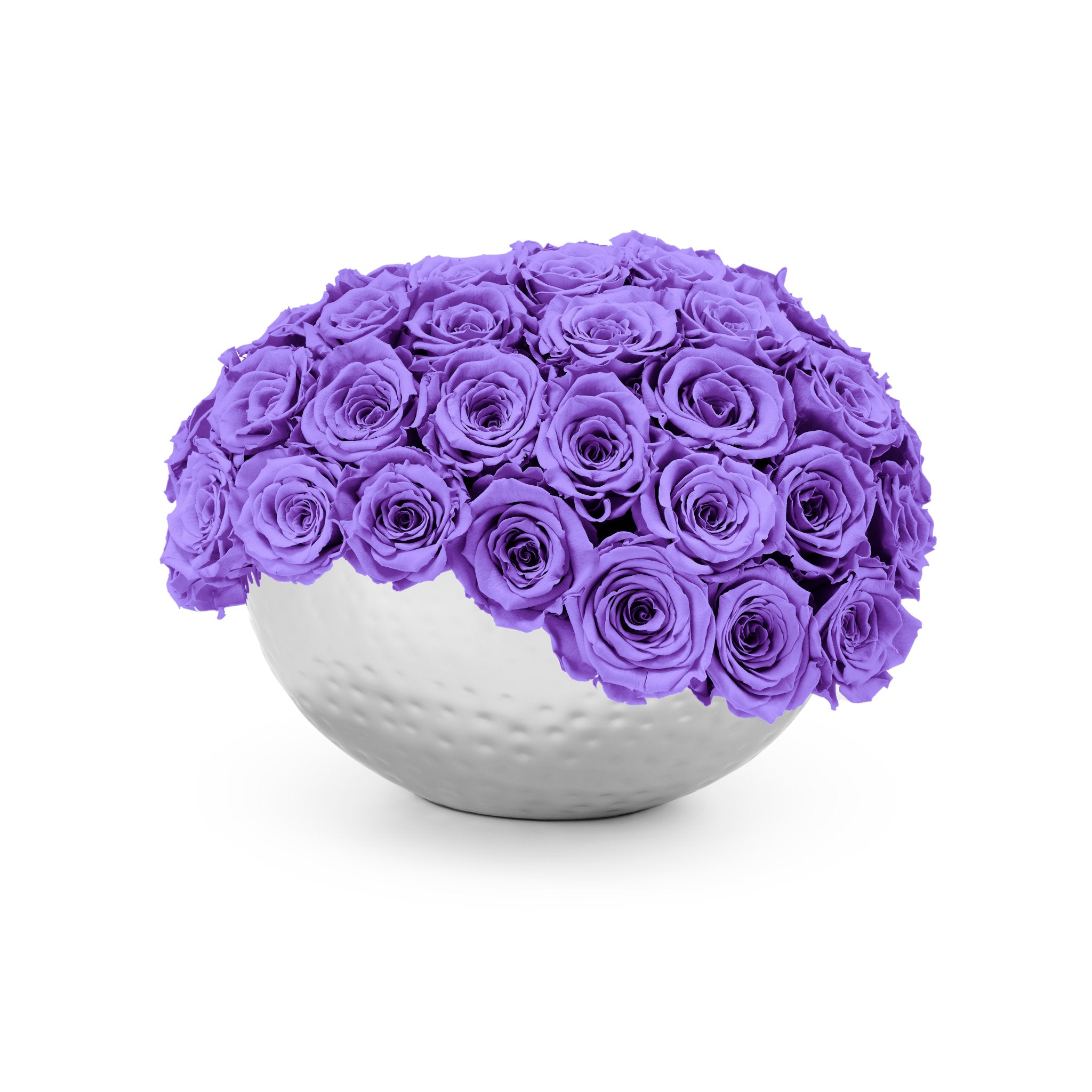 Bouquet of purple roses in a white vase on a white background