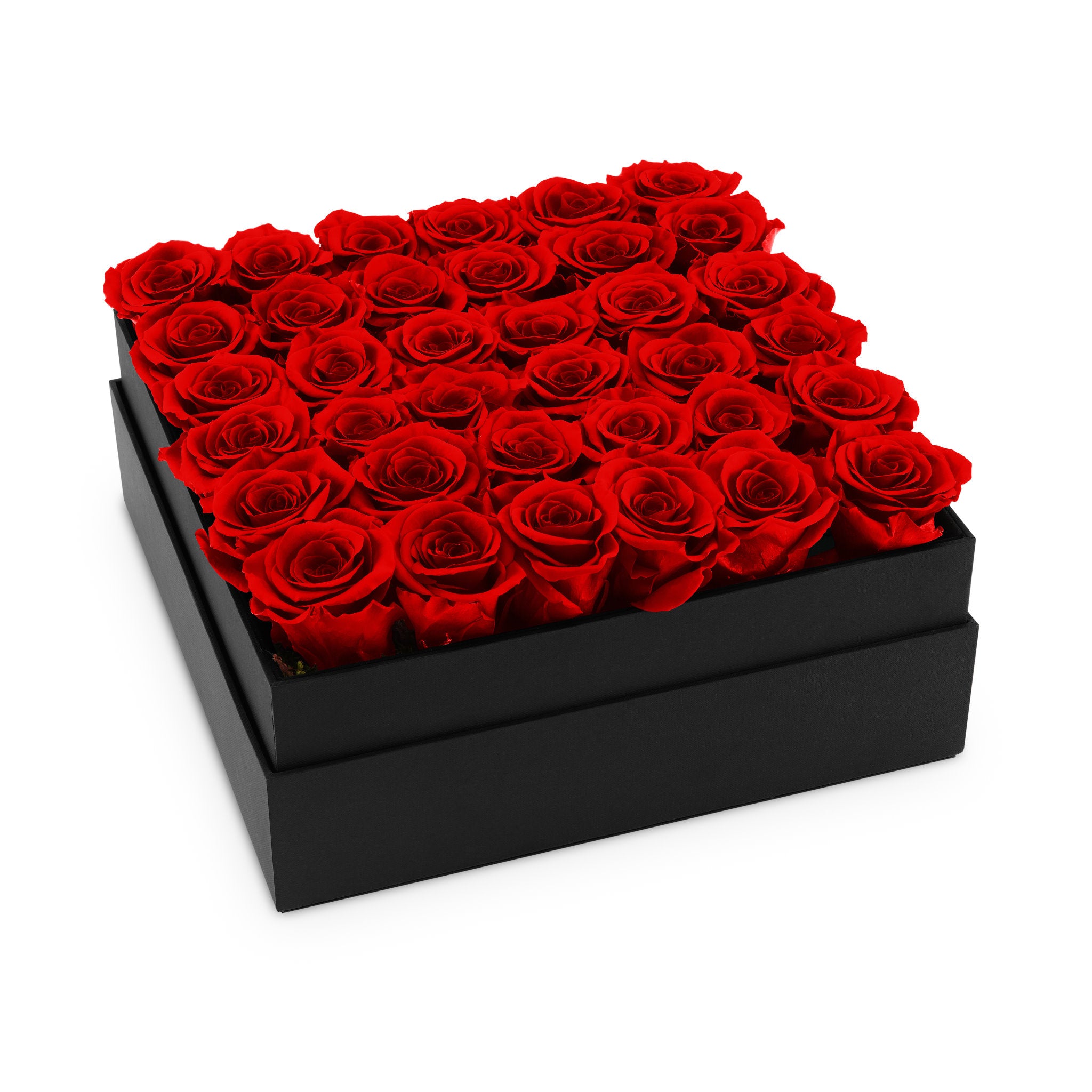 Black box filled with red roses on a white background