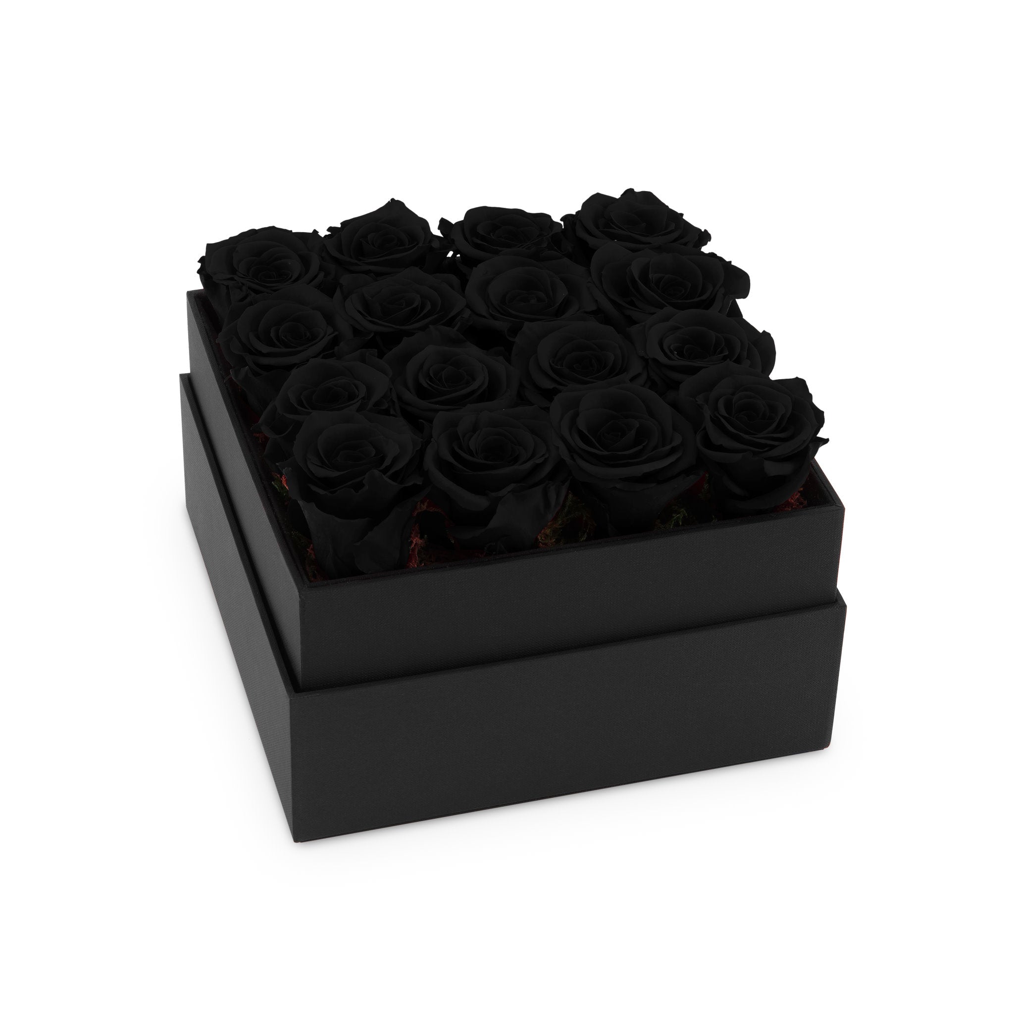 Black box with black roses on a white background