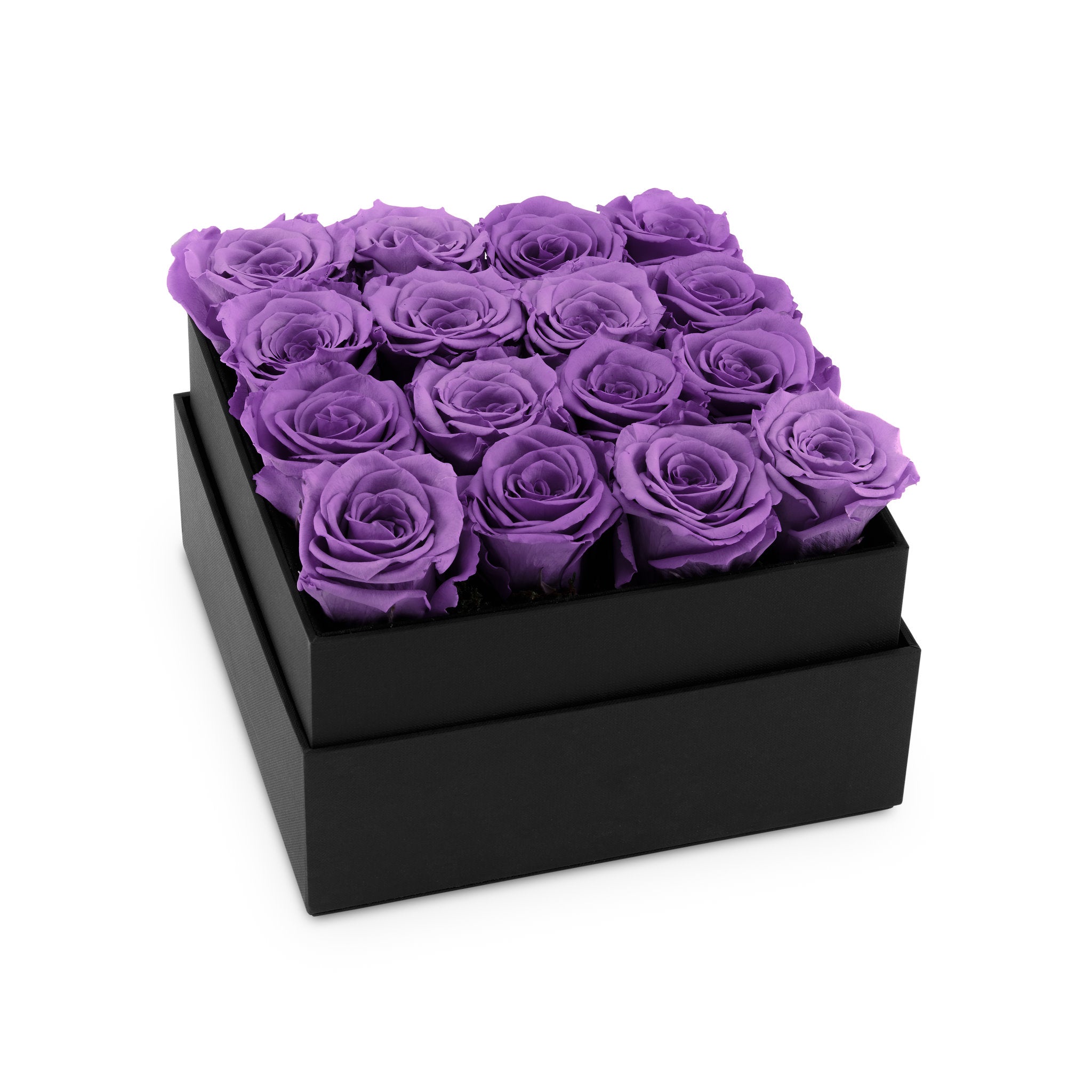 Black box with purple roses on a white background