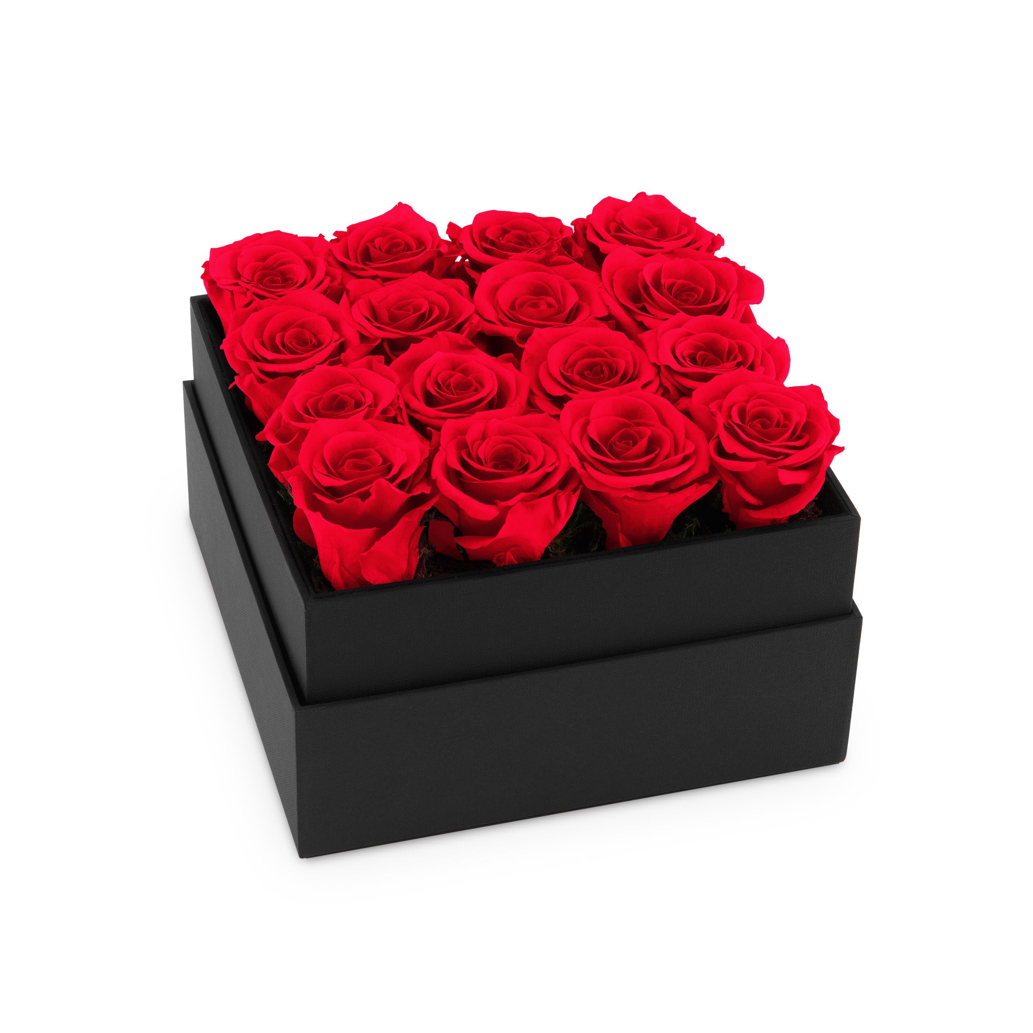 Black box filled with red roses on a white background