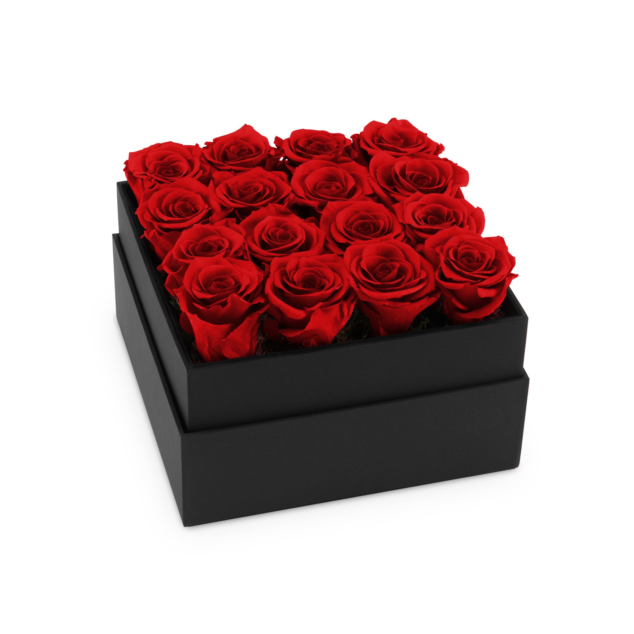 Black box with red roses on a white background