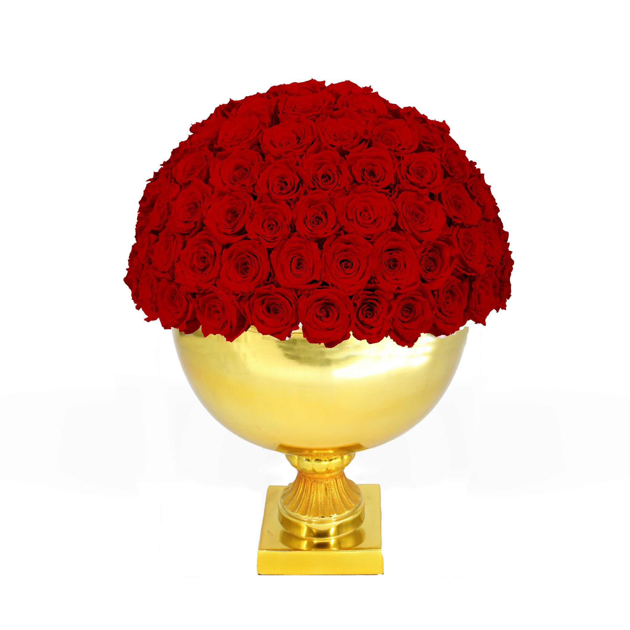 Gold vase with red roses on a white background