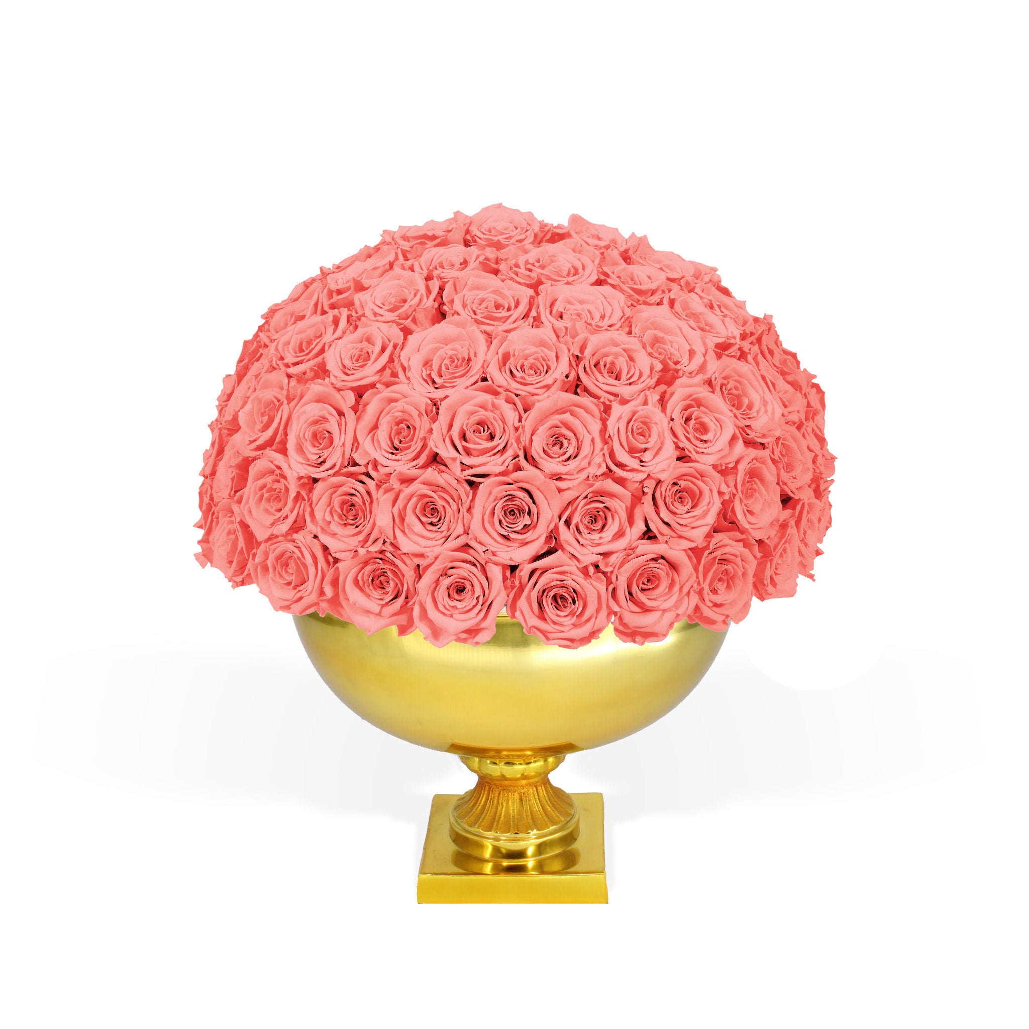 Bouquet of pink roses in a gold vase on a white background