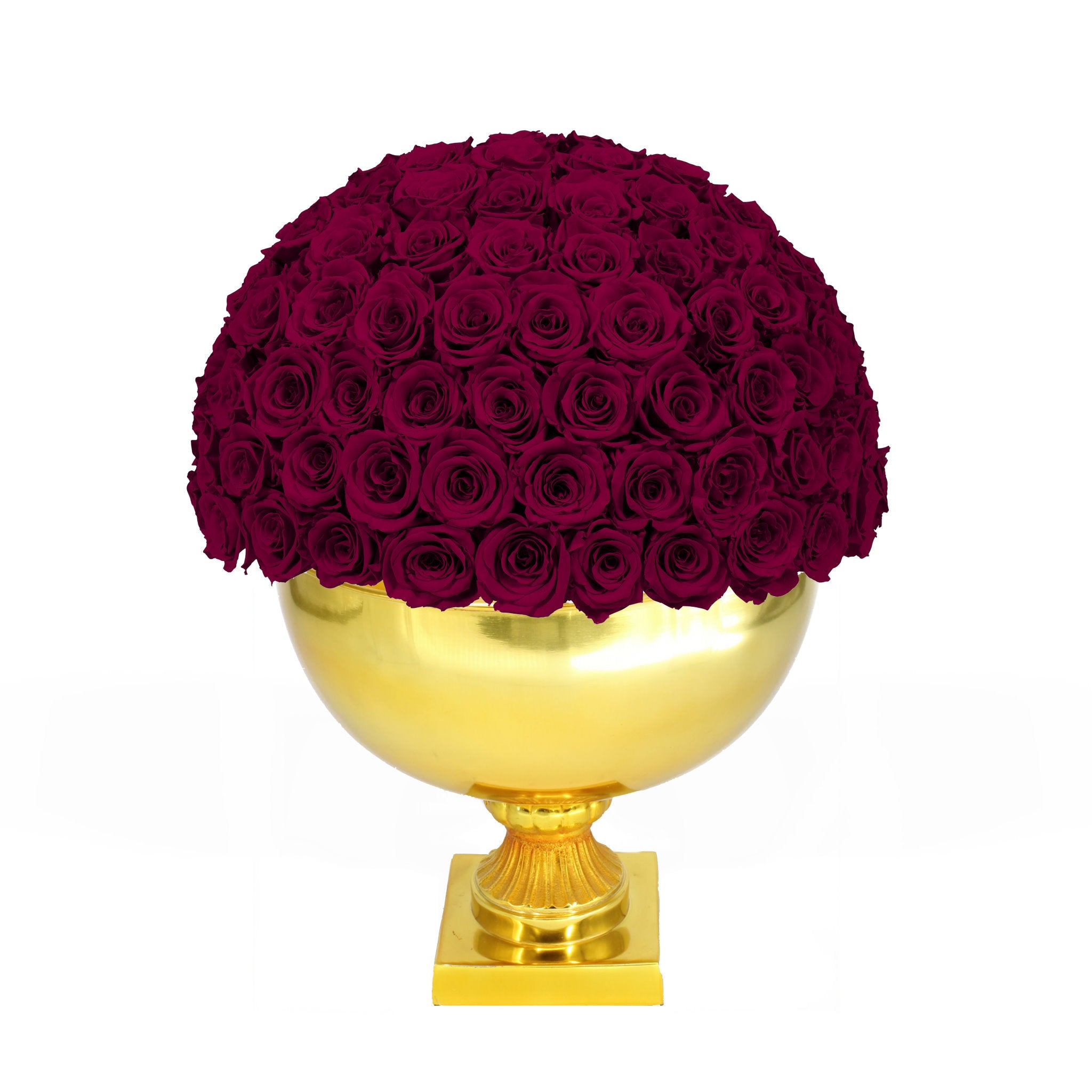 Bouquet of red roses in a gold vase on a white background