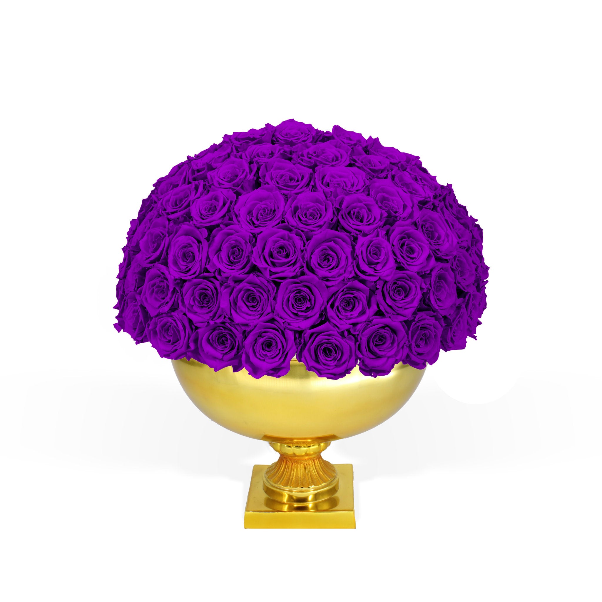 Gold vase with purple roses on a white background
