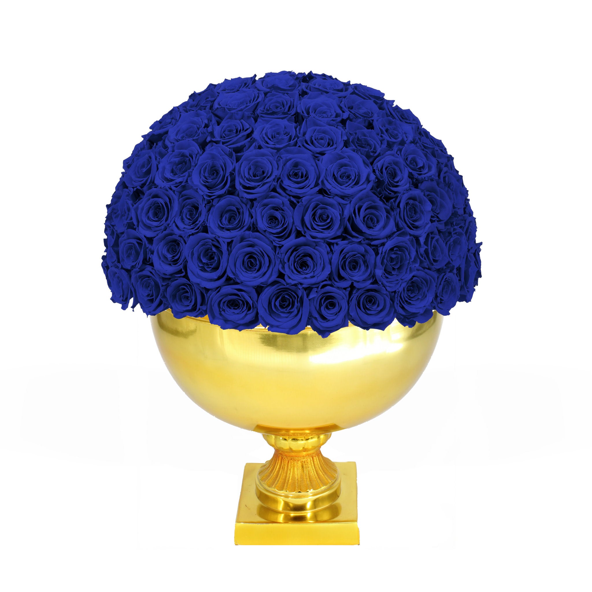 Gold vase with blue roses on a white background