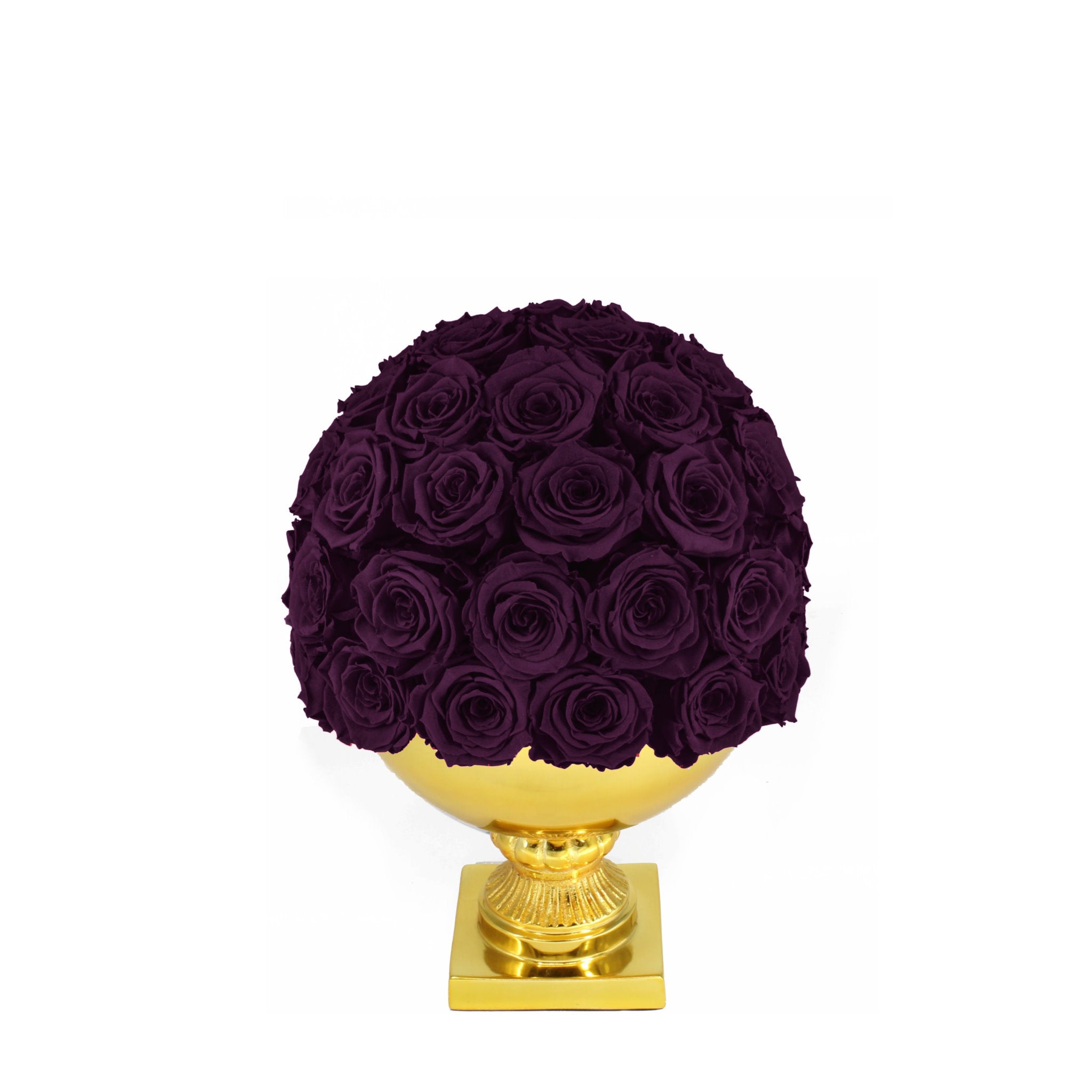 Purple roses on a gold pedestal against a white background
