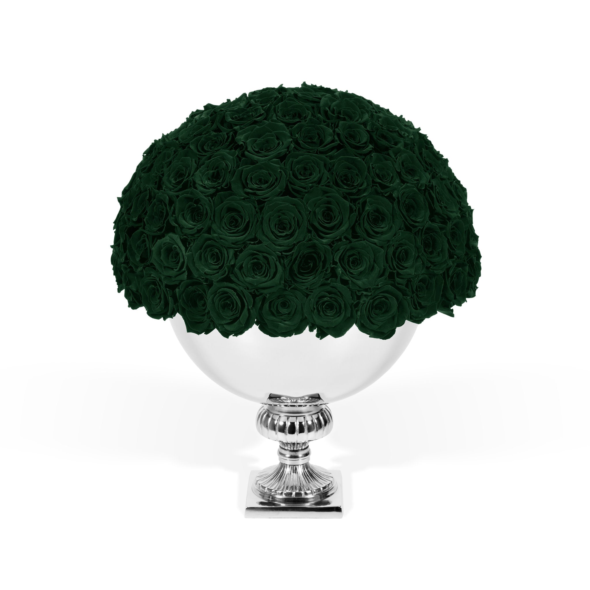 Bouquet of dark green roses in a silver vase on a white background