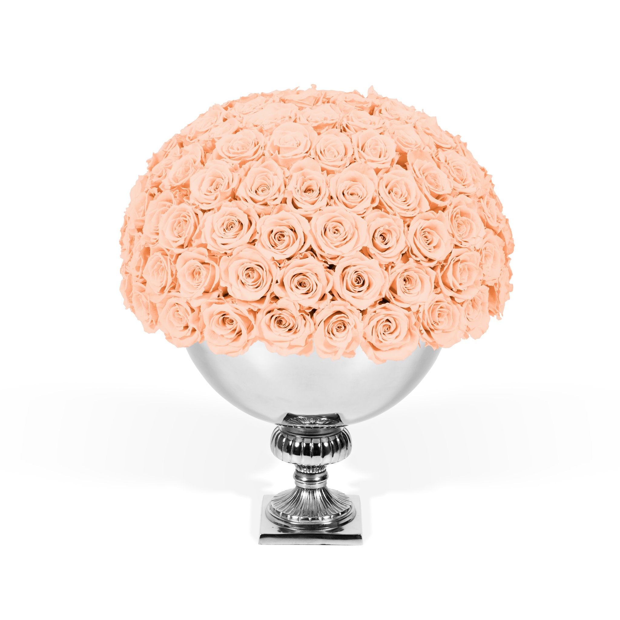 Bouquet of peach roses in a silver vase on a white background