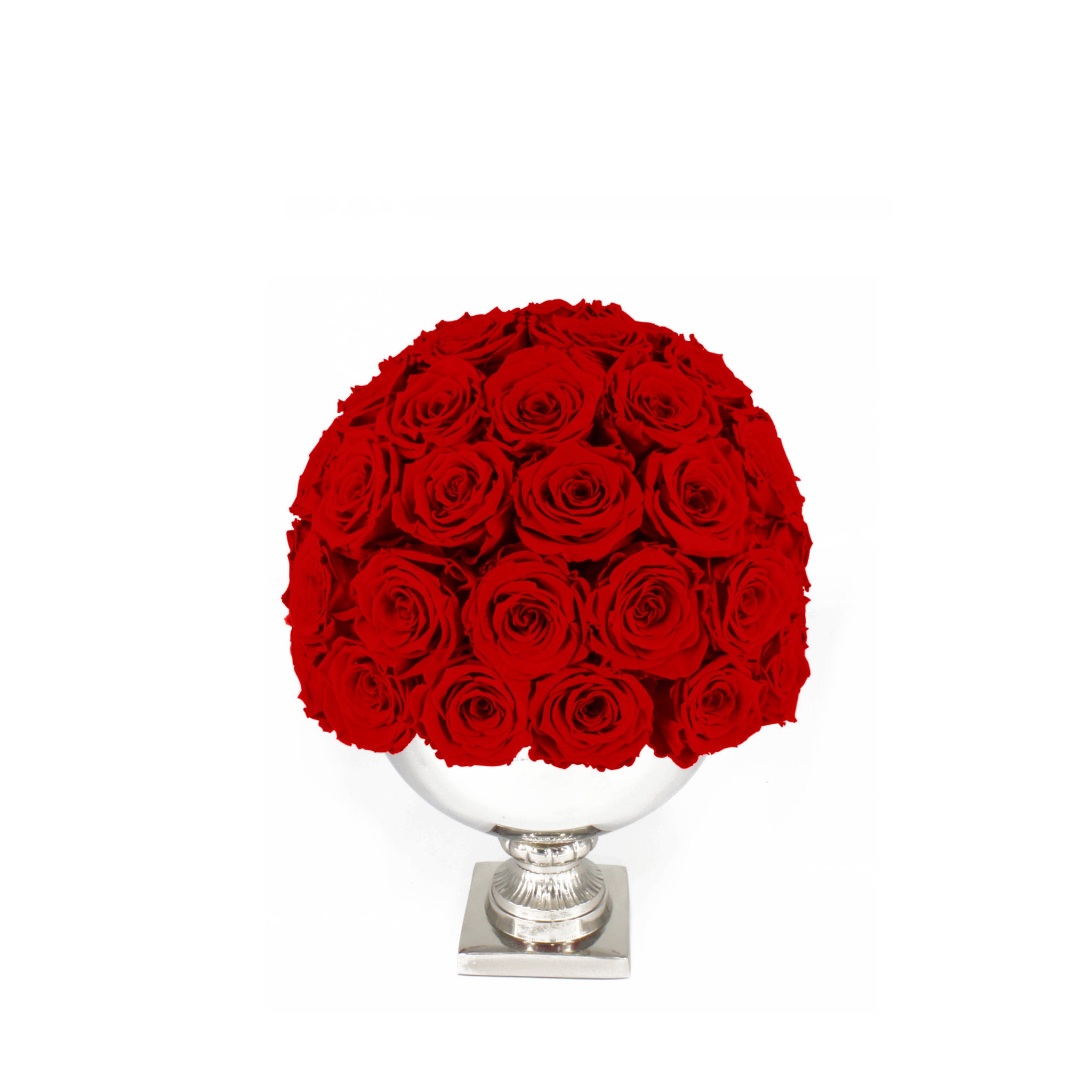 Bouquet of red roses in a white vase on a white background