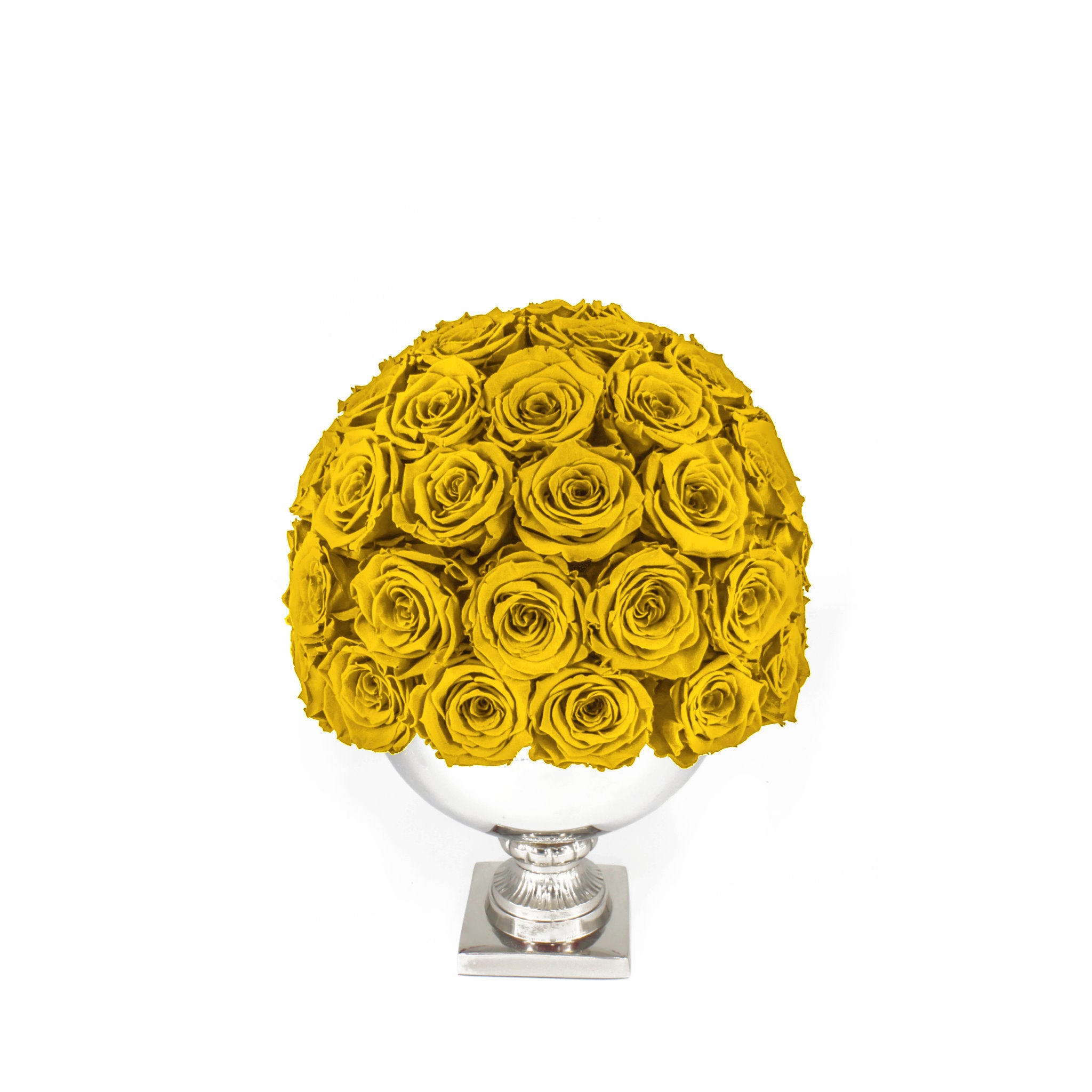 Bouquet of yellow roses in a white vase on a white background